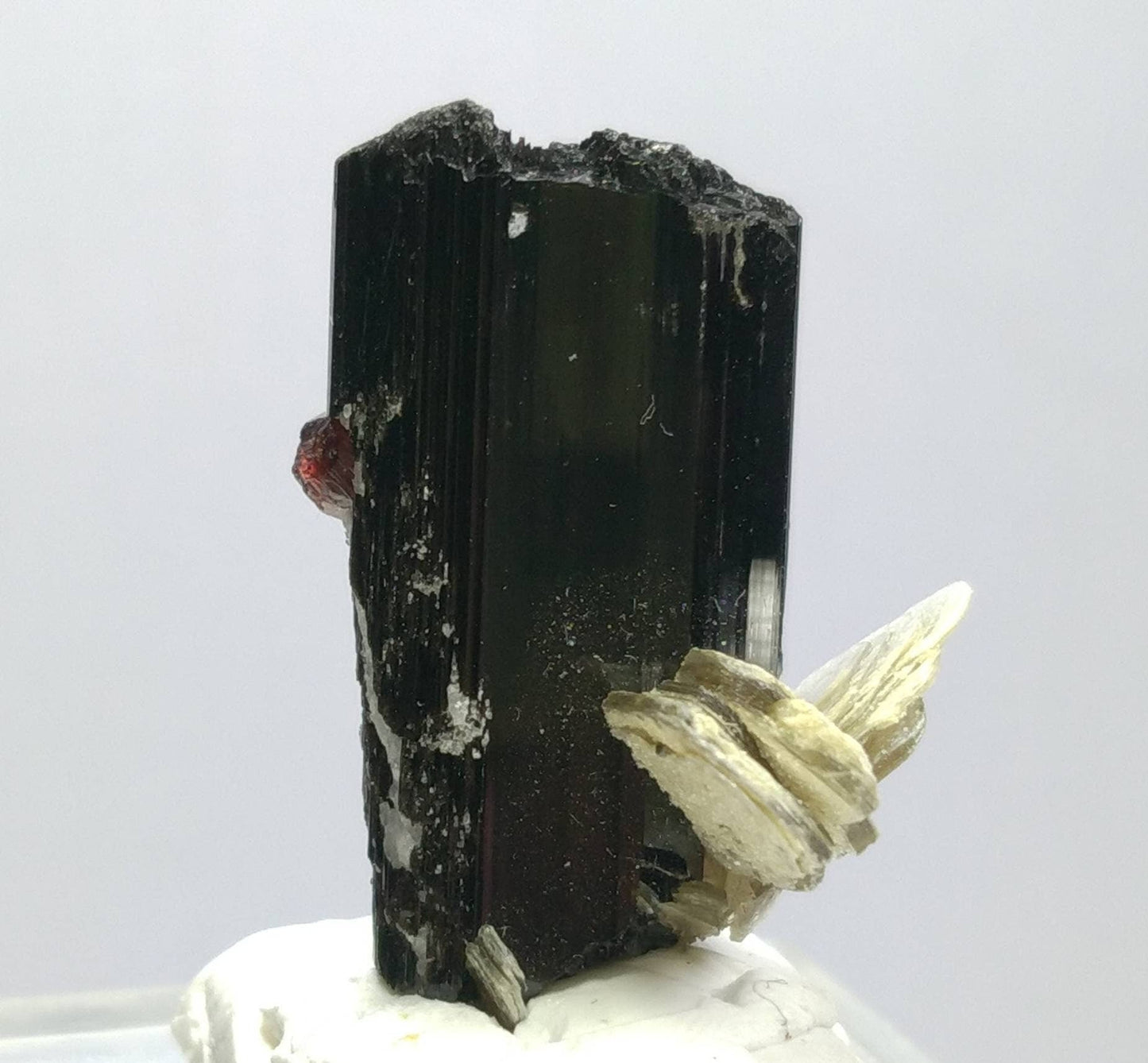 ARSAA GEMS AND MINERALSTop Quality beautiful natural 16.2 grams terminated crystal of black tourmaline with spessartine garnet and muscovite - Premium  from ARSAA GEMS AND MINERALS - Just $40.00! Shop now at ARSAA GEMS AND MINERALS