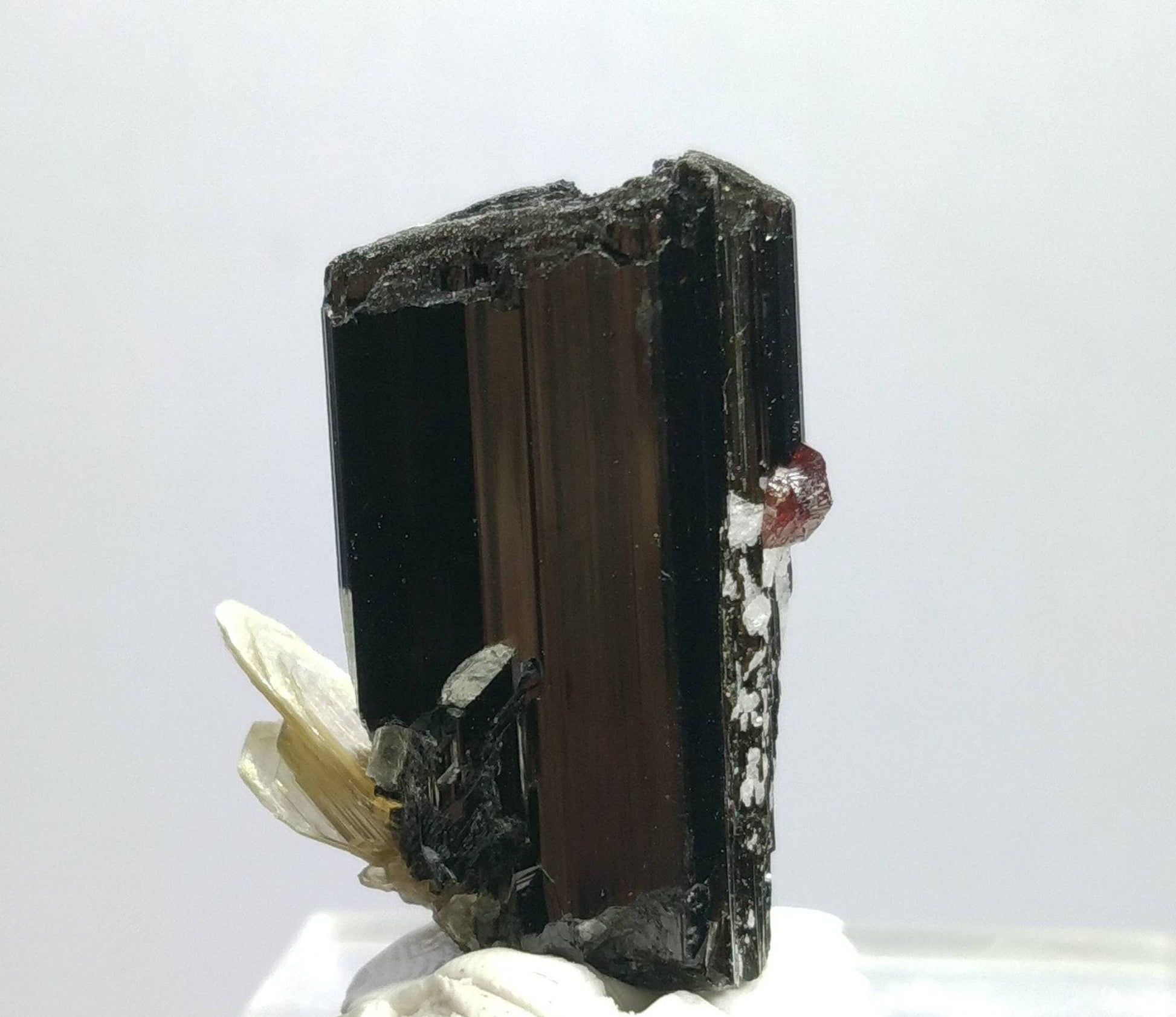 ARSAA GEMS AND MINERALSTop Quality beautiful natural 16.2 grams terminated crystal of black tourmaline with spessartine garnet and muscovite - Premium  from ARSAA GEMS AND MINERALS - Just $40.00! Shop now at ARSAA GEMS AND MINERALS