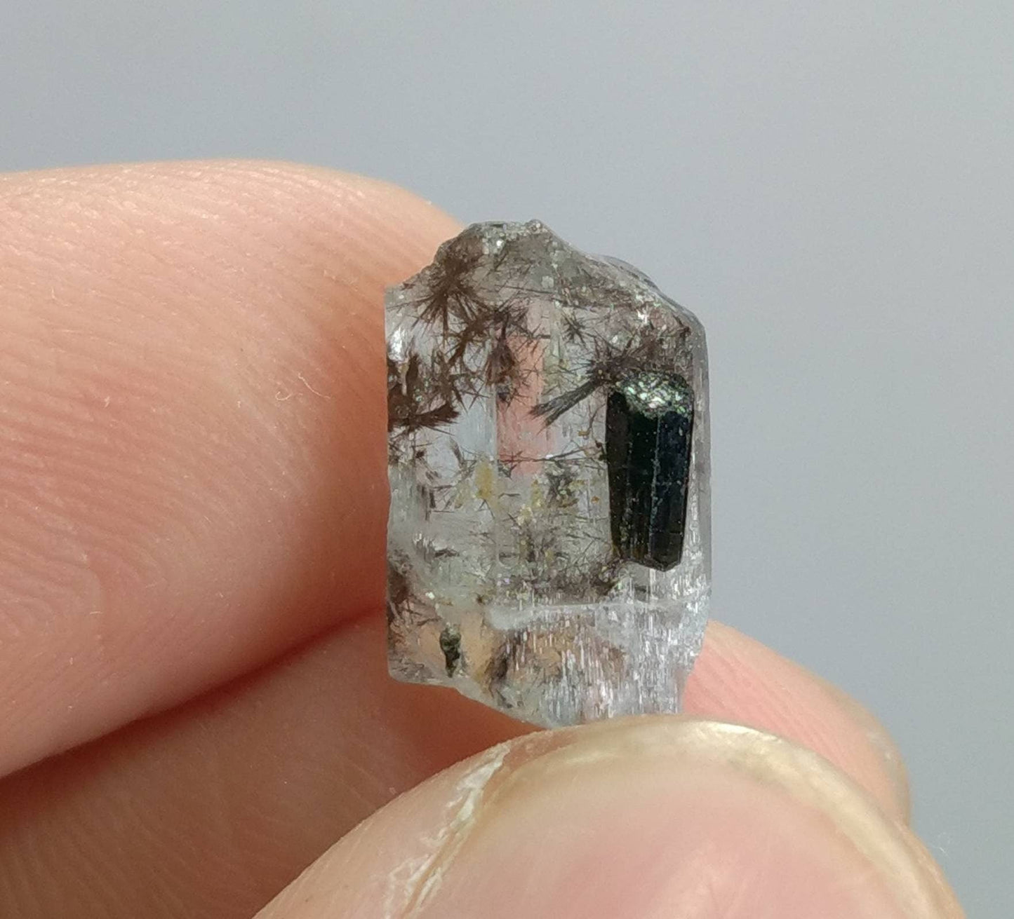 ARSAA GEMS AND MINERALSNatural high quality beautiful very rare 7 grams light blue small sized small lot of tantalite columbite included aquamarine crystals - Premium  from ARSAA GEMS AND MINERALS - Just $140.00! Shop now at ARSAA GEMS AND MINERALS