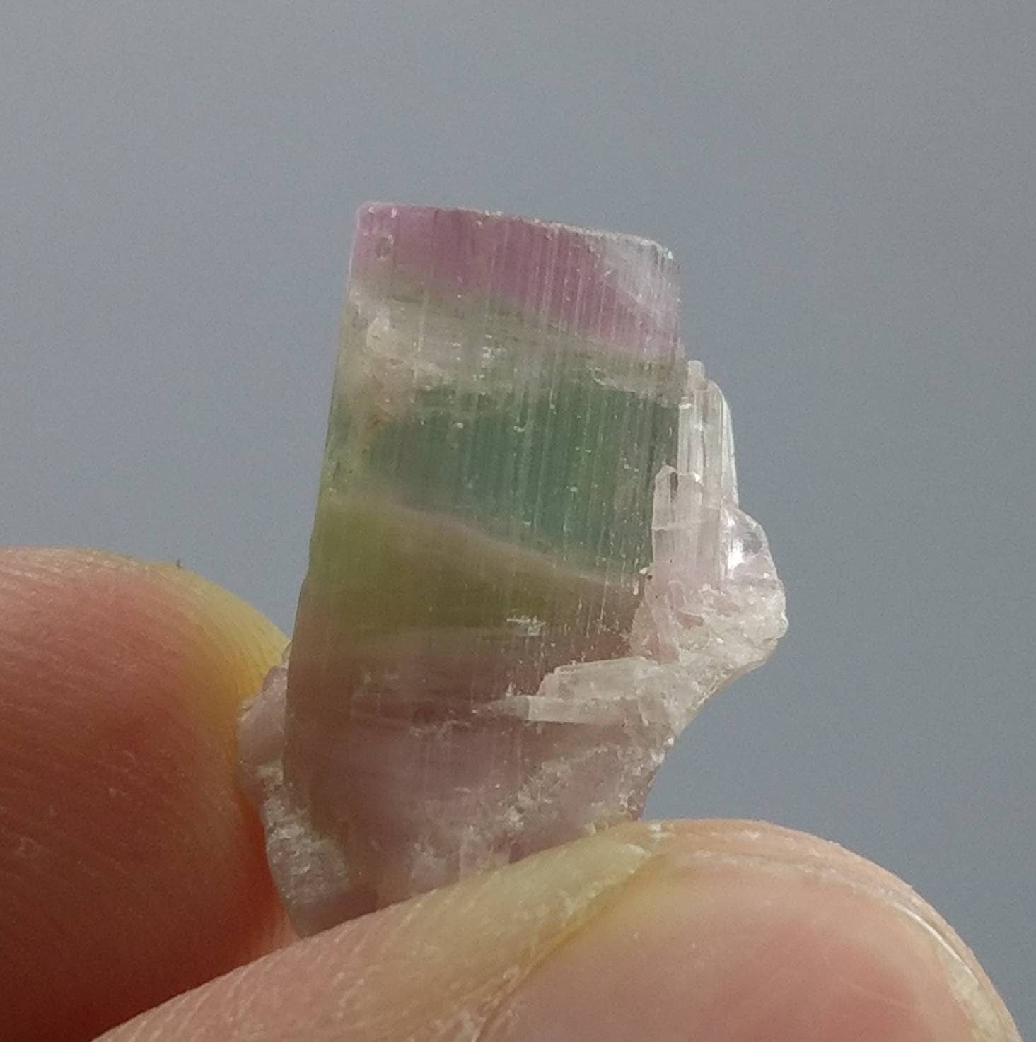 ARSAA GEMS AND MINERALSTop Quality beautiful natural 3 grams terminated multicolor Tourmaline crystal - Premium  from ARSAA GEMS AND MINERALS - Just $30.00! Shop now at ARSAA GEMS AND MINERALS