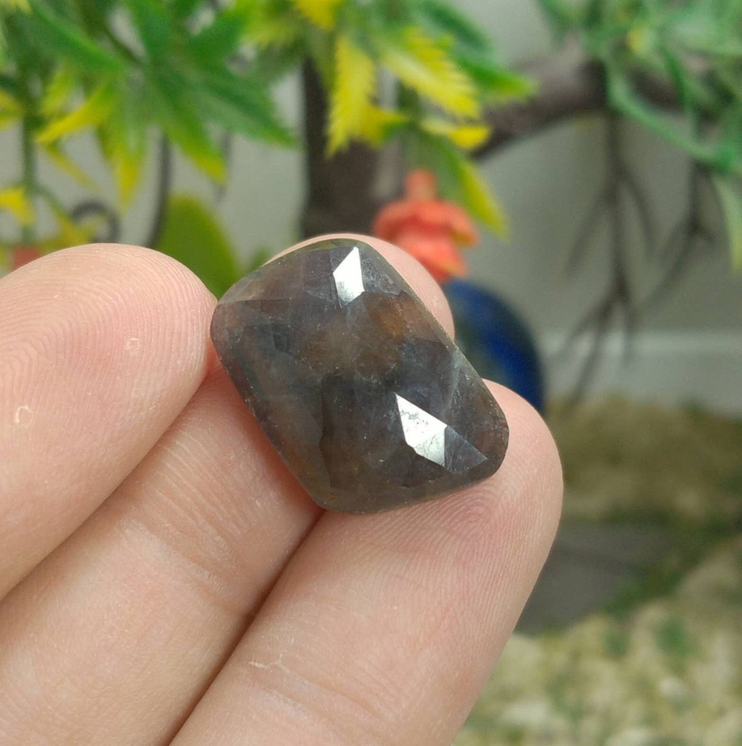 ARSAA GEMS AND MINERALSNatural fine quality beautiful 65 carats rose/cut faceted sapphire cabochons - Premium  from ARSAA GEMS AND MINERALS - Just $45.00! Shop now at ARSAA GEMS AND MINERALS