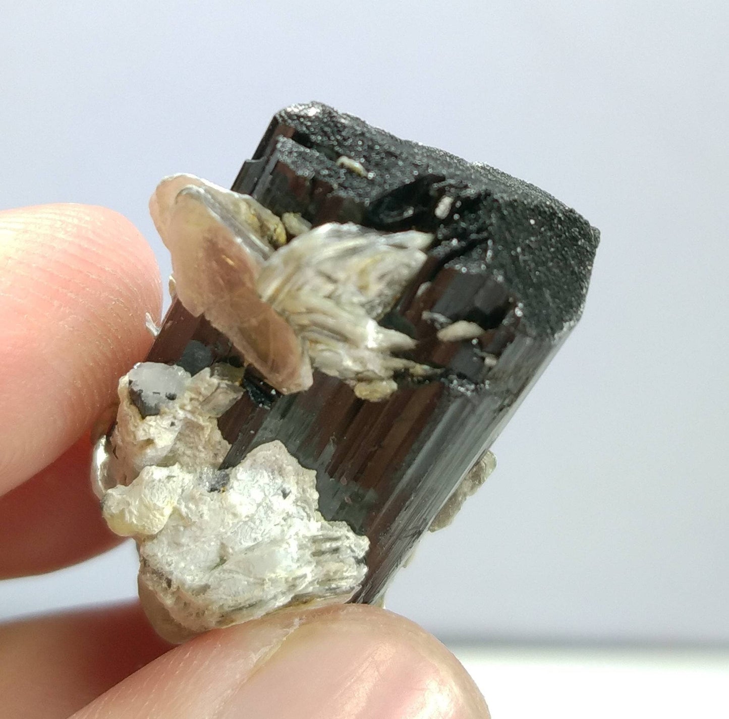 ARSAA GEMS AND MINERALSTop Quality beautiful natural 16.2 grams amazing terminated crystal of black tourmaline with spessartine garnet and muscovite - Premium  from ARSAA GEMS AND MINERALS - Just $50.00! Shop now at ARSAA GEMS AND MINERALS