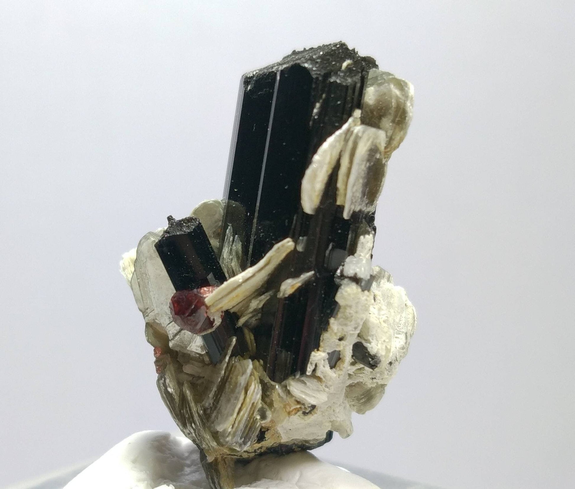 ARSAA GEMS AND MINERALSTop Quality beautiful natural 16.2 grams amazing terminated crystal of black tourmaline with spessartine garnet and muscovite - Premium  from ARSAA GEMS AND MINERALS - Just $50.00! Shop now at ARSAA GEMS AND MINERALS