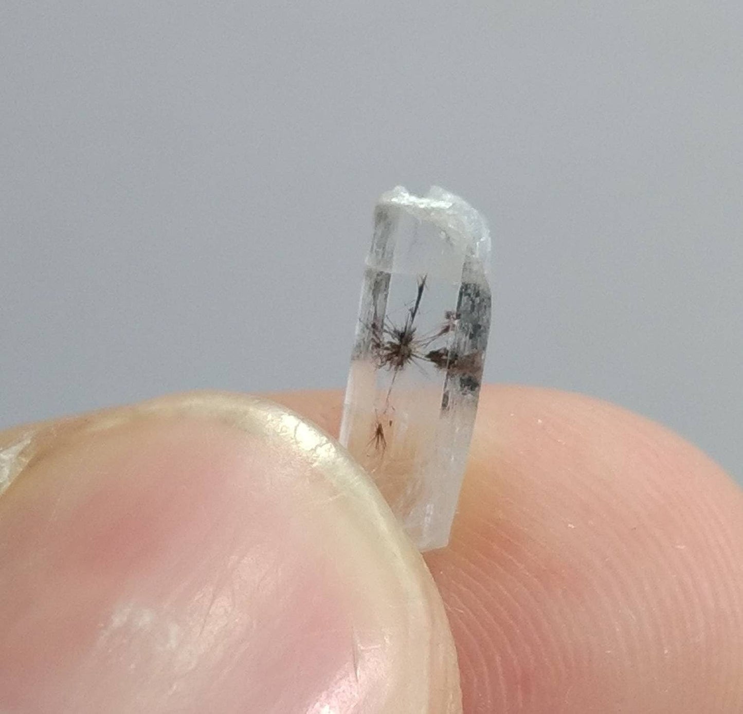 ARSAA GEMS AND MINERALSNatural fine quality beautiful very rare 14.8 grams light blue small sized small lot of tantalite columbite included aquamarine crystals - Premium  from ARSAA GEMS AND MINERALS - Just $150.00! Shop now at ARSAA GEMS AND MINERALS