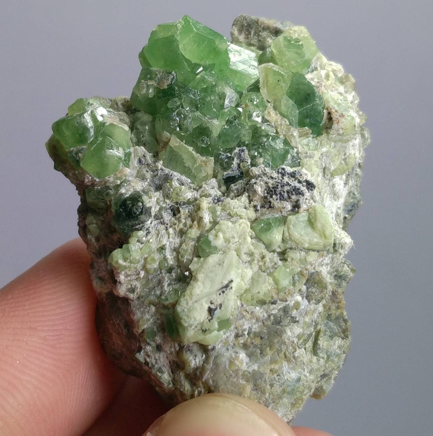 ARSAA GEMS AND MINERALSNatural top quality 24.7 grams Very Rare Natural vibrant green Demantoid Garnet cluster on matrix - Premium  from ARSAA GEMS AND MINERALS - Just $120.00! Shop now at ARSAA GEMS AND MINERALS
