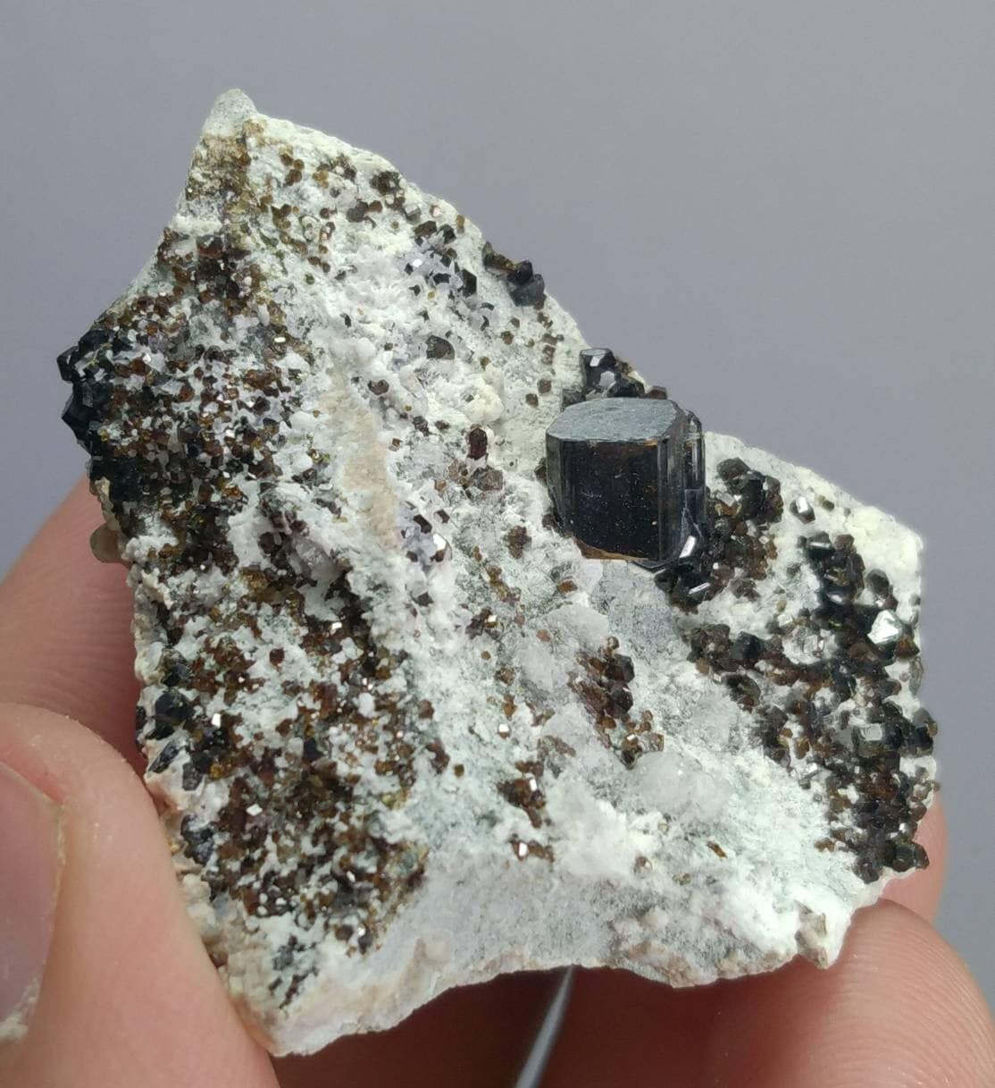 ARSAA GEMS AND MINERALSNatural top quality 34.2 grams Beautiful dark brown terminated crystal of vesuvianite aka idocrase on Albite matrix - Premium  from ARSAA GEMS AND MINERALS - Just $45.00! Shop now at ARSAA GEMS AND MINERALS