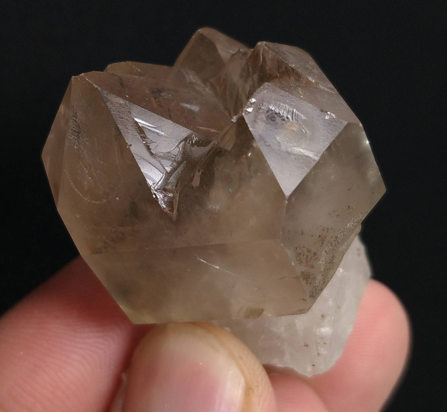 ARSAA GEMS AND MINERALSNatural top quality 44.5 garms very interesting rose of Scepter Quartz. The head is Smokey and is a cluster while the stem is clear quartz - Premium  from ARSAA GEMS AND MINERALS - Just $30.00! Shop now at ARSAA GEMS AND MINERALS