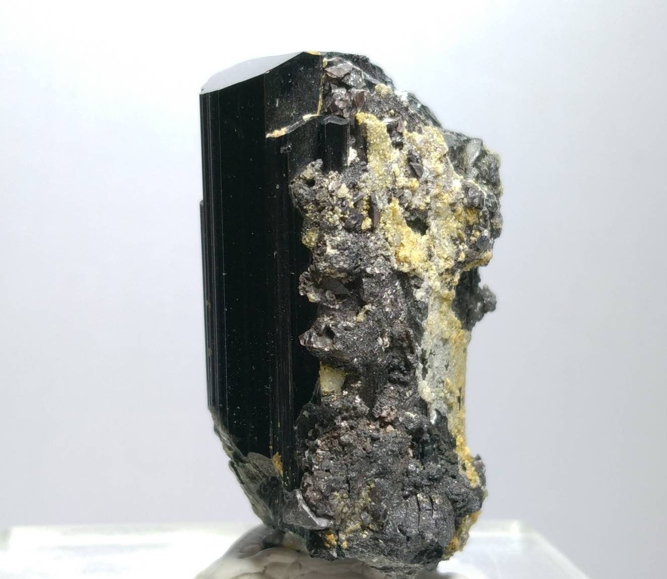 ARSAA GEMS AND MINERALSNatural top quality 74 grams Rare numerous magnetite crystals nesting on lusterous schorl / black tourmaline crystal - Premium  from ARSAA GEMS AND MINERALS - Just $95.00! Shop now at ARSAA GEMS AND MINERALS