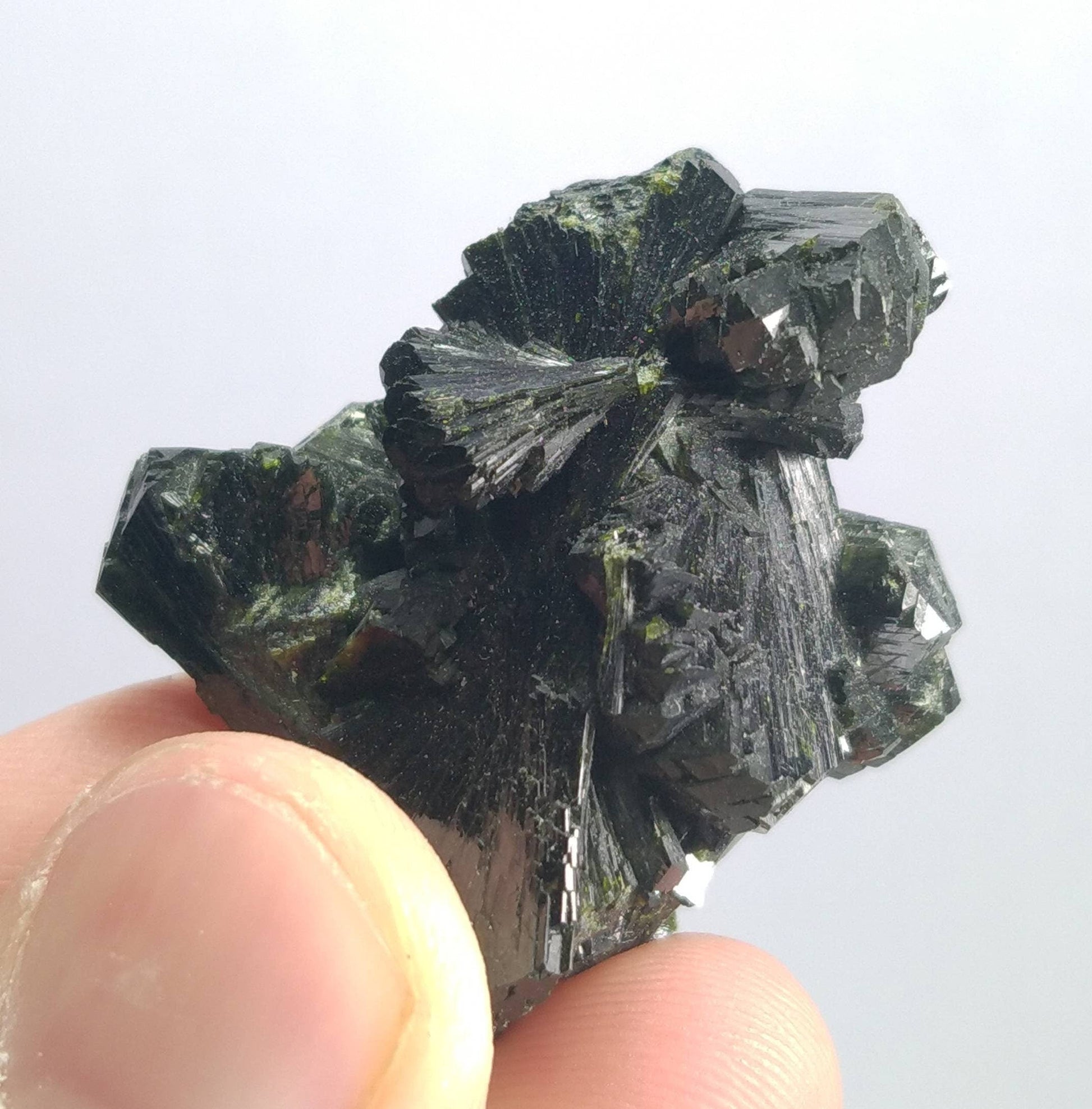 ARSAA GEMS AND MINERALSNatural top quality beautiful 19.7 grams rare bow tie epidote cluster - Premium  from ARSAA GEMS AND MINERALS - Just $45.00! Shop now at ARSAA GEMS AND MINERALS