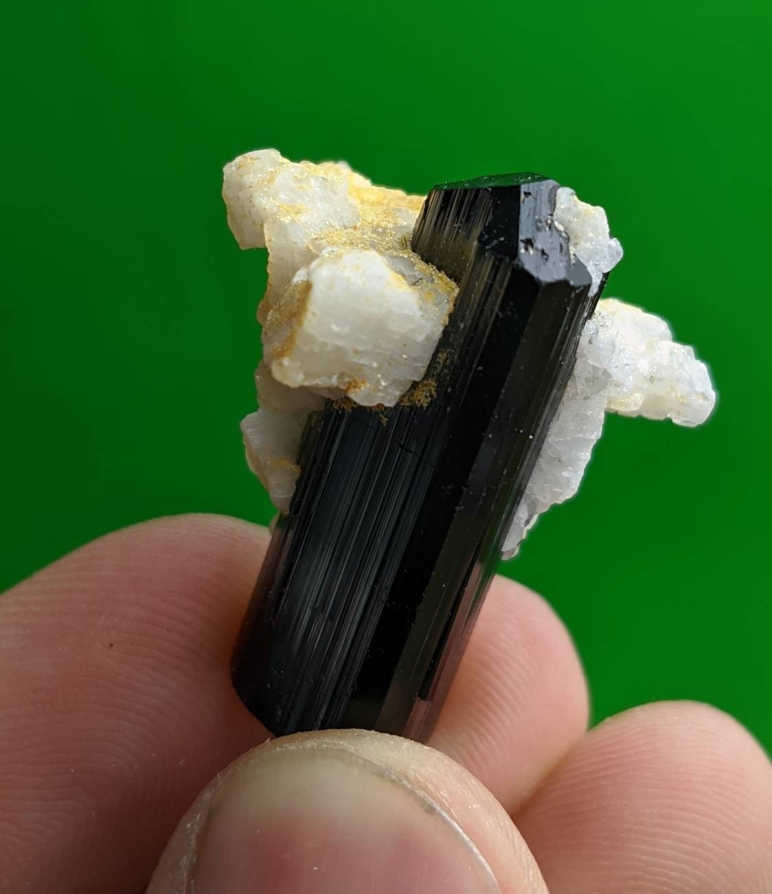 ARSAA GEMS AND MINERALSBlack tourmaline with albite terminated crystal from Skardu GilgitBaltistan Pakistan - Premium  from ARSAA GEMS AND MINERALS - Just $30.00! Shop now at ARSAA GEMS AND MINERALS
