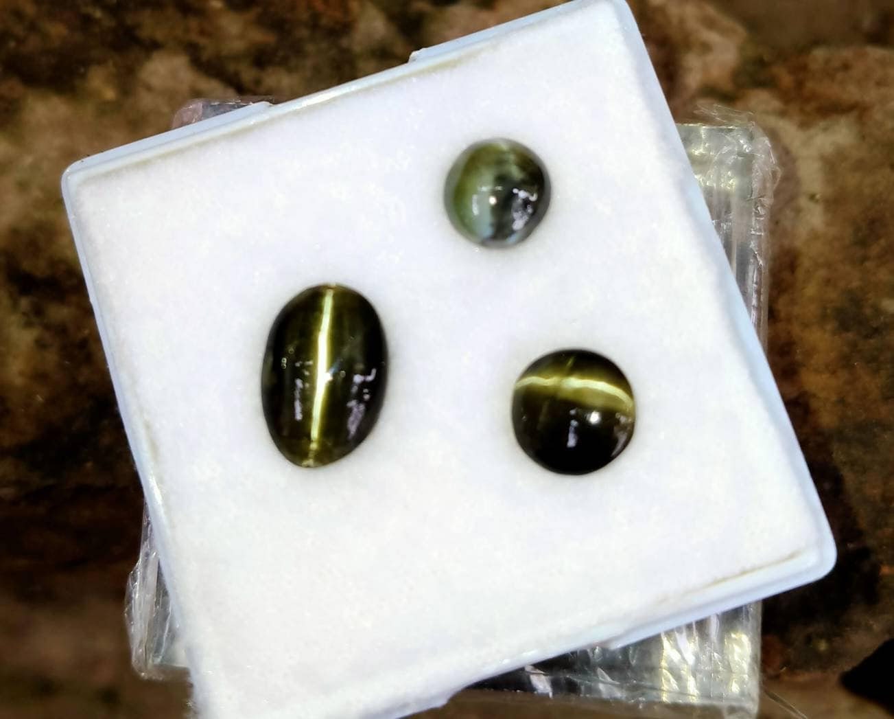 ARSAA GEMS AND MINERALSNatural top quality beautiful Chrysoberyl catseye cabochons - Premium  from ARSAA GEMS AND MINERALS - Just $45.00! Shop now at ARSAA GEMS AND MINERALS