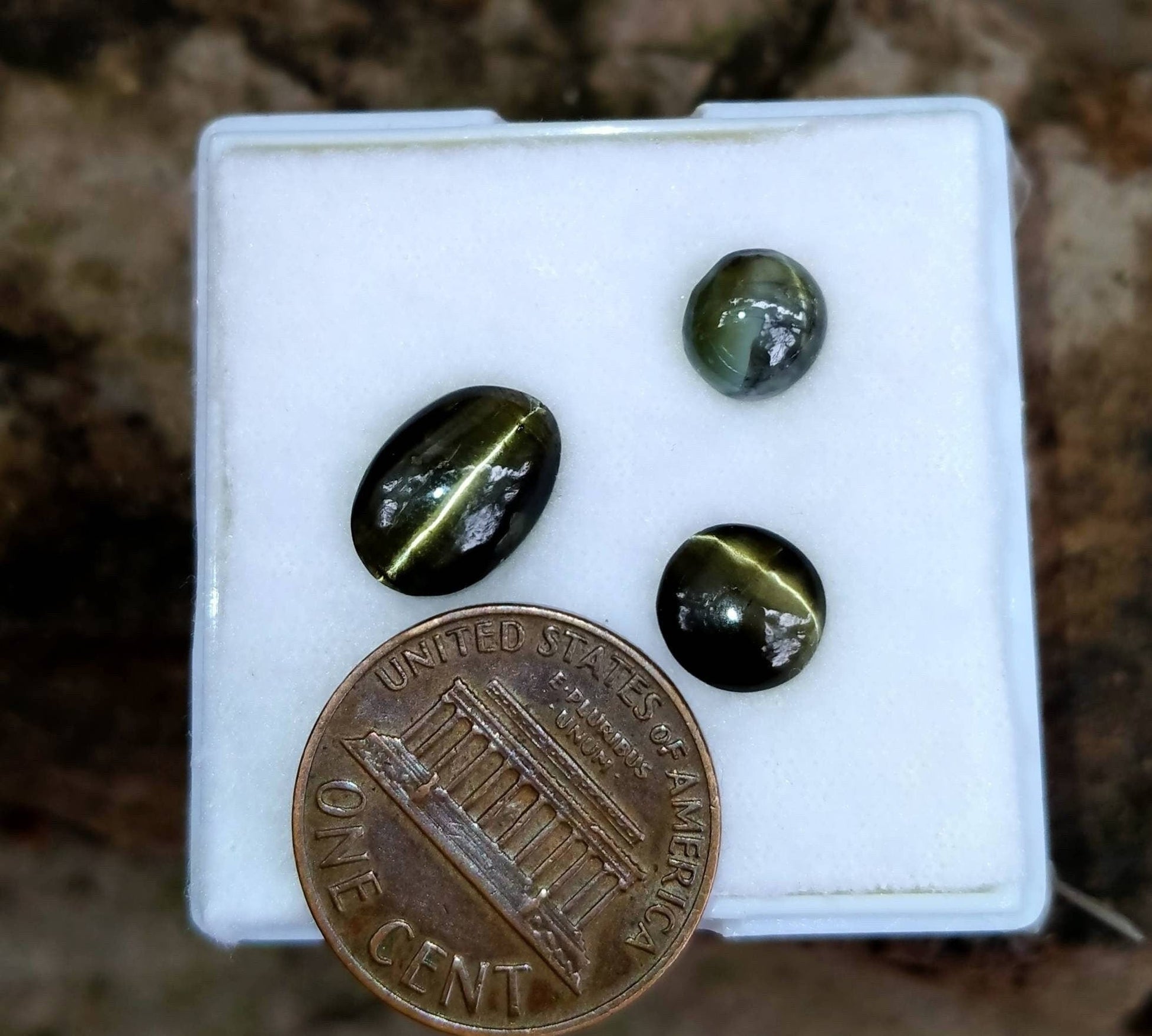 ARSAA GEMS AND MINERALSNatural top quality beautiful Chrysoberyl catseye cabochons - Premium  from ARSAA GEMS AND MINERALS - Just $45.00! Shop now at ARSAA GEMS AND MINERALS