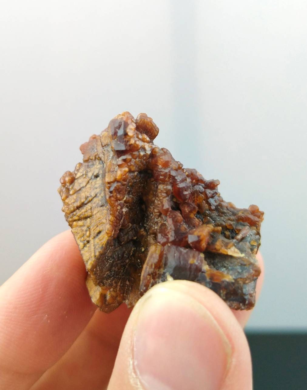 ARSAA GEMS AND MINERALSNew find etched natural dark red aesthetic specimen of andradite garnet from Pakistan, weight 38.8 grams - Premium  from ARSAA GEMS AND MINERALS - Just $100.00! Shop now at ARSAA GEMS AND MINERALS