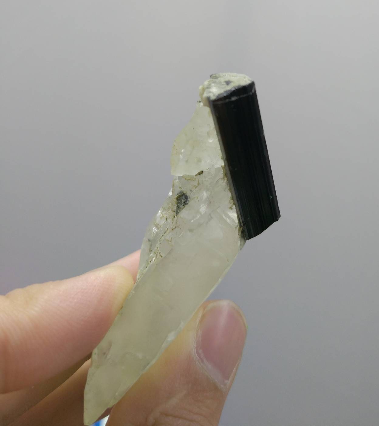 ARSAA GEMS AND MINERALSNatural fine quality terminated on matrix black tourmaline with quartz crystal from Pakistan, weight 45.2 grams - Premium  from ARSAA GEMS AND MINERALS - Just $45.00! Shop now at ARSAA GEMS AND MINERALS