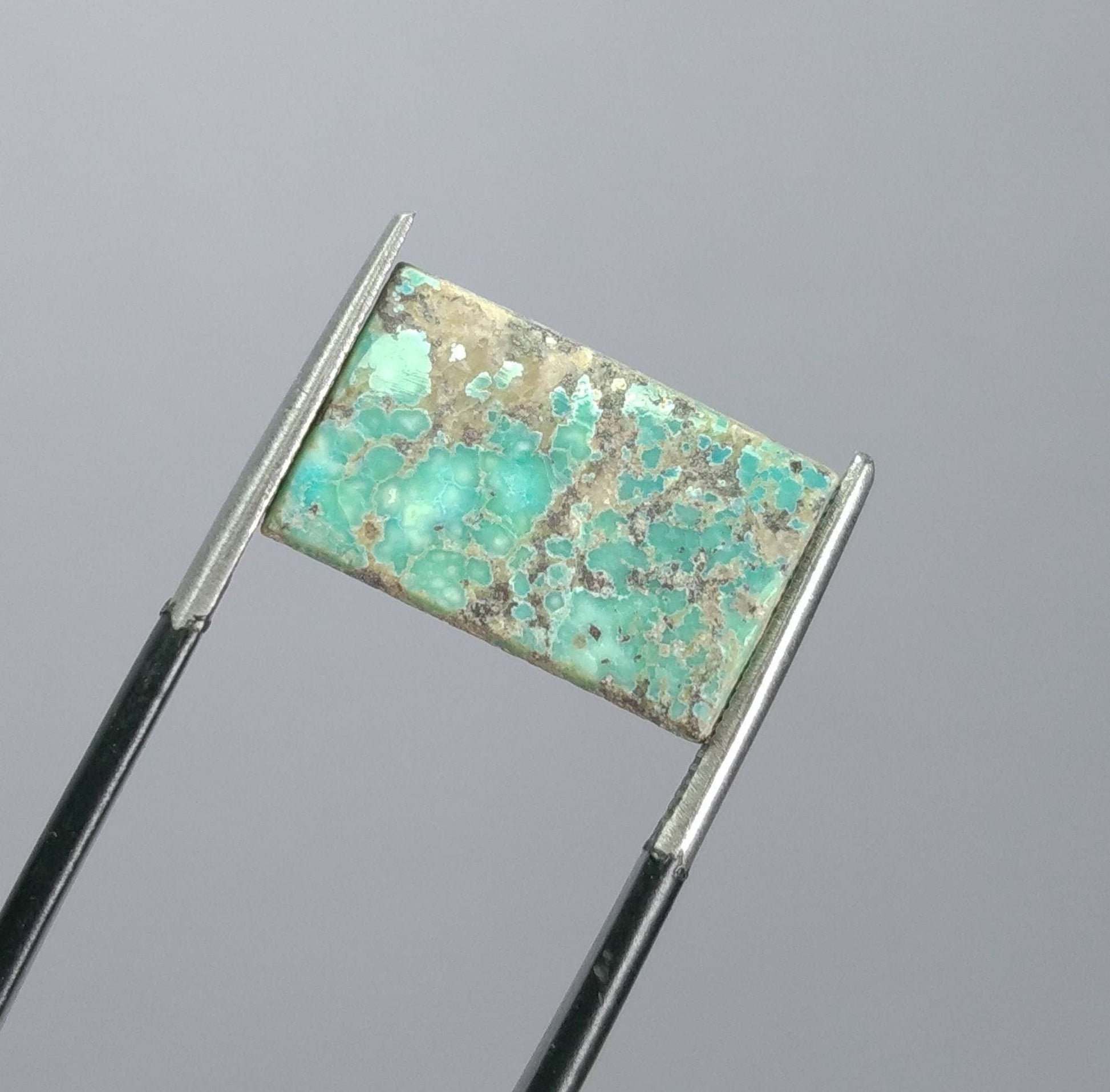 ARSAA GEMS AND MINERALSNatural fine quality beautiful 196 caarts untreated unheated unStabilized mostly flat tops small lot of turquoise Cabochons - Premium  from ARSAA GEMS AND MINERALS - Just $123.00! Shop now at ARSAA GEMS AND MINERALS