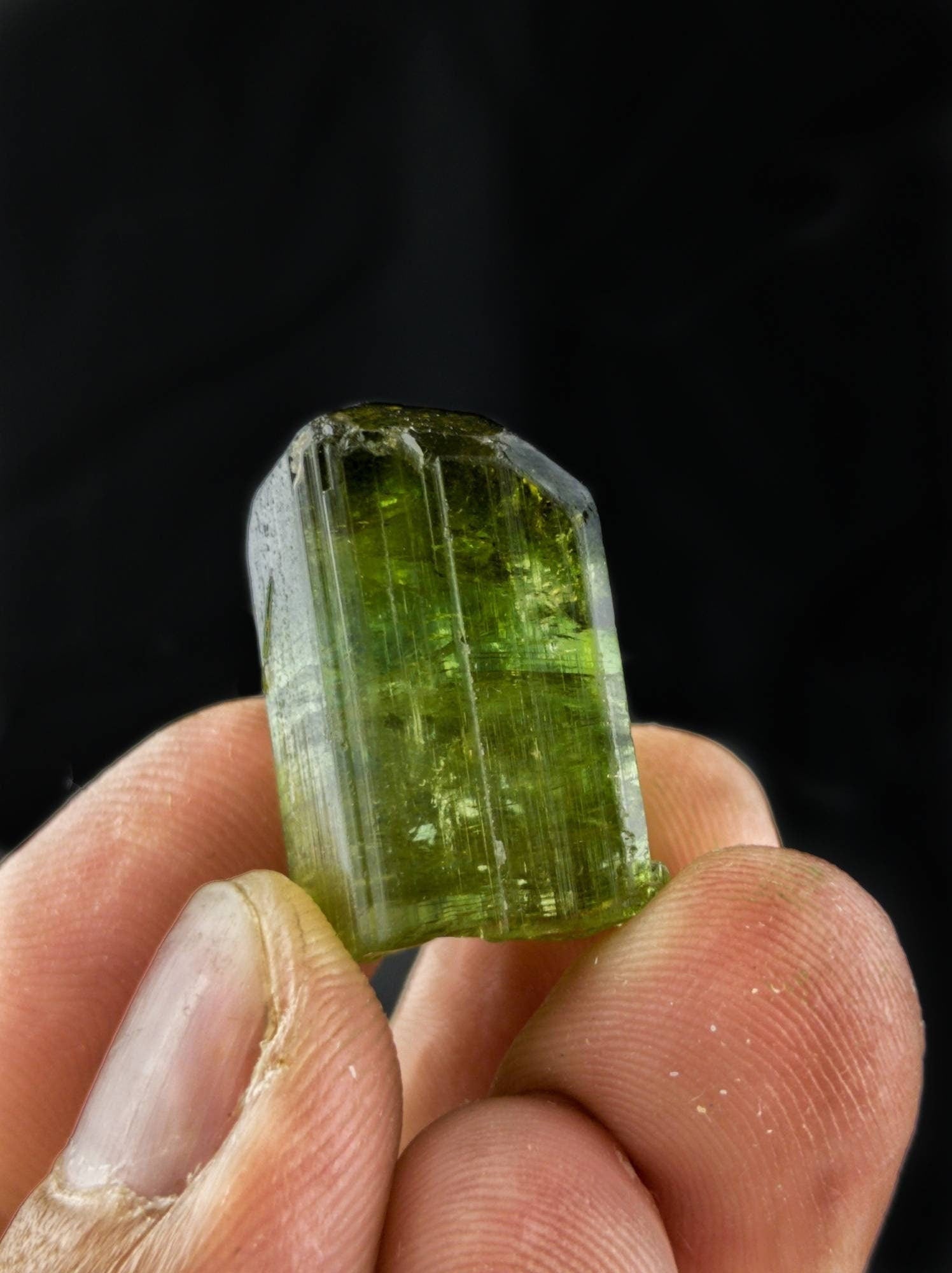 ARSAA GEMS AND MINERALSGreen terminated tourmaline crystal 12 grams weight from Africa - Premium  from ARSAA GEMS AND MINERALS - Just $240.00! Shop now at ARSAA GEMS AND MINERALS