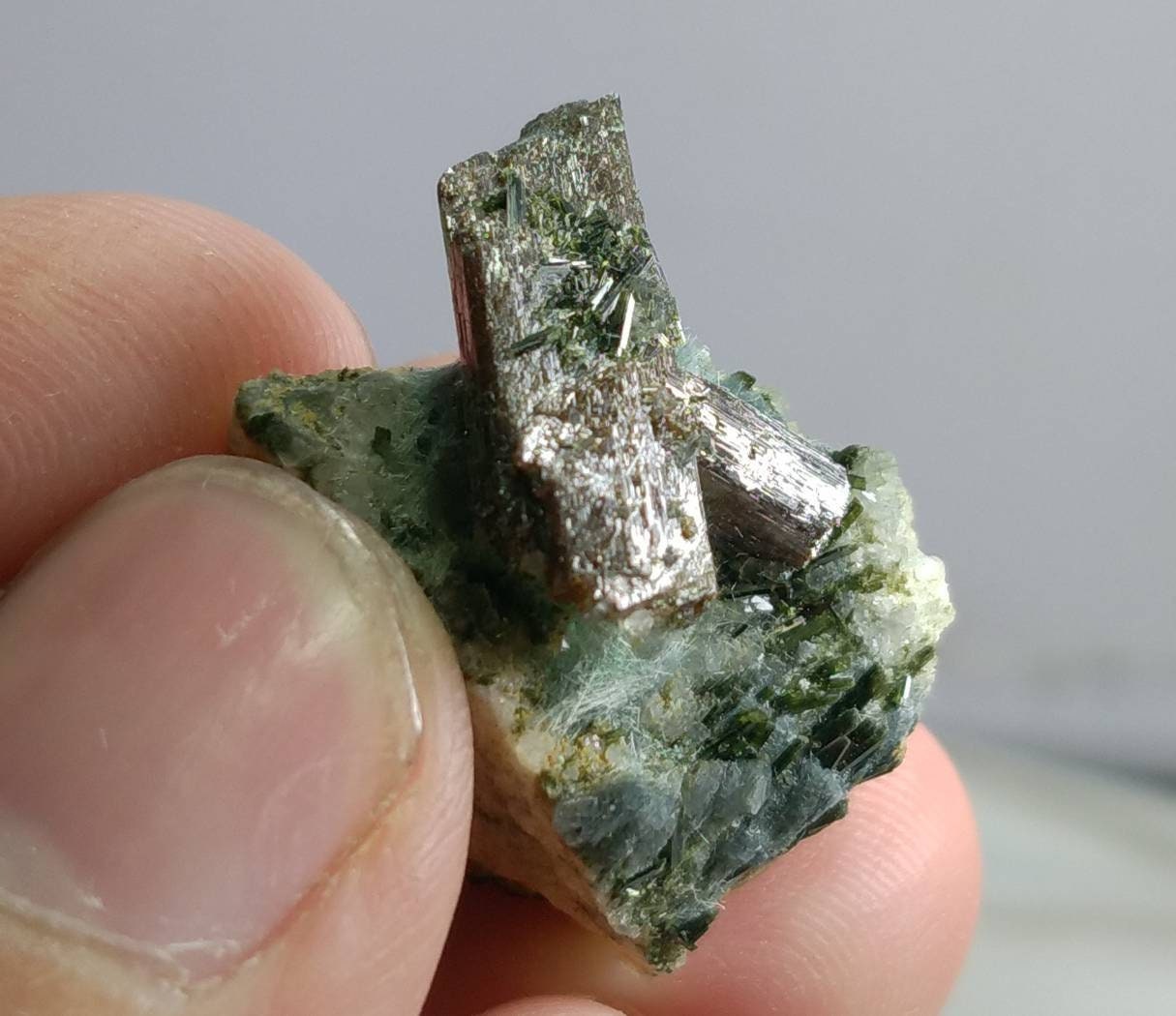 ARSAA GEMS AND MINERALSNatural top quality beautiful 8 grams terminated rutile crystal on matrix albite with ejerine crystals - Premium  from ARSAA GEMS AND MINERALS - Just $70.00! Shop now at ARSAA GEMS AND MINERALS