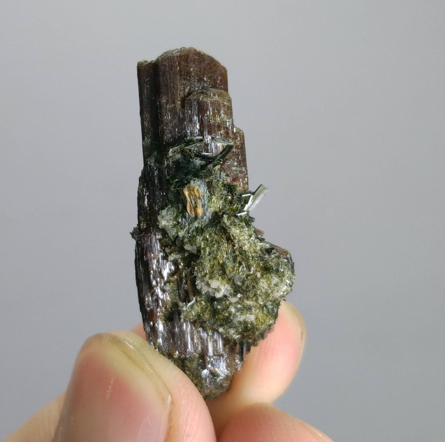 ARSAA GEMS AND MINERALSNatural top quality beautiful 7.8 grams terminated rutile crystal on matrix with ejerine crystals - Premium  from ARSAA GEMS AND MINERALS - Just $80.00! Shop now at ARSAA GEMS AND MINERALS