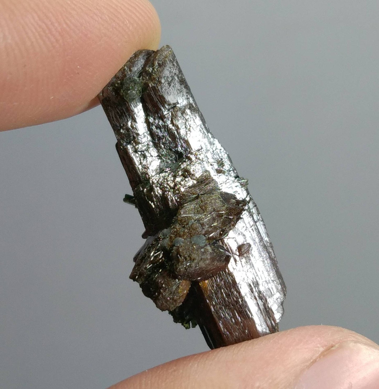 ARSAA GEMS AND MINERALSNatural top quality beautiful 7.8 grams terminated rutile crystal on matrix with ejerine crystals - Premium  from ARSAA GEMS AND MINERALS - Just $80.00! Shop now at ARSAA GEMS AND MINERALS