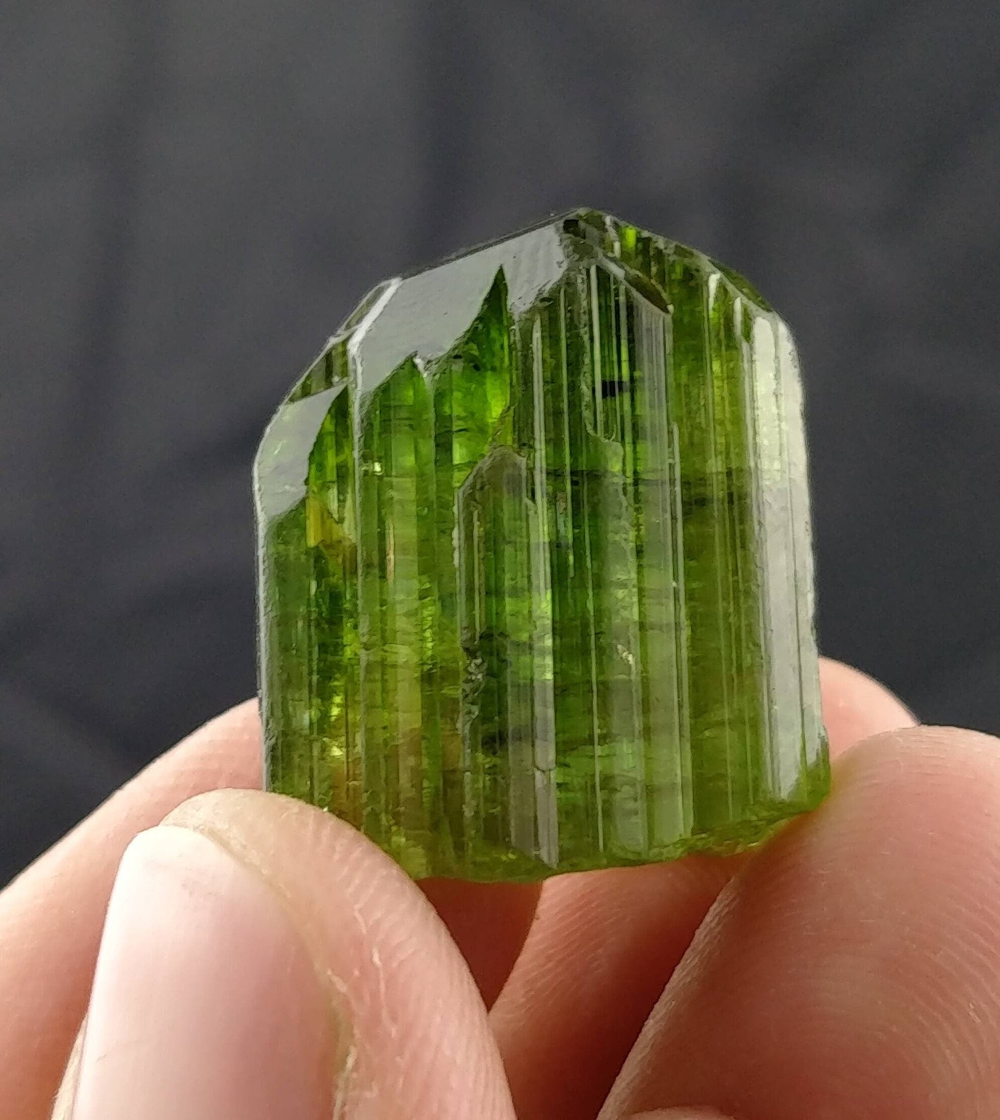 ARSAA GEMS AND MINERALSGreen terminated tourmaline crystal 10.2 grams weight from Africa - Premium  from ARSAA GEMS AND MINERALS - Just $200.00! Shop now at ARSAA GEMS AND MINERALS