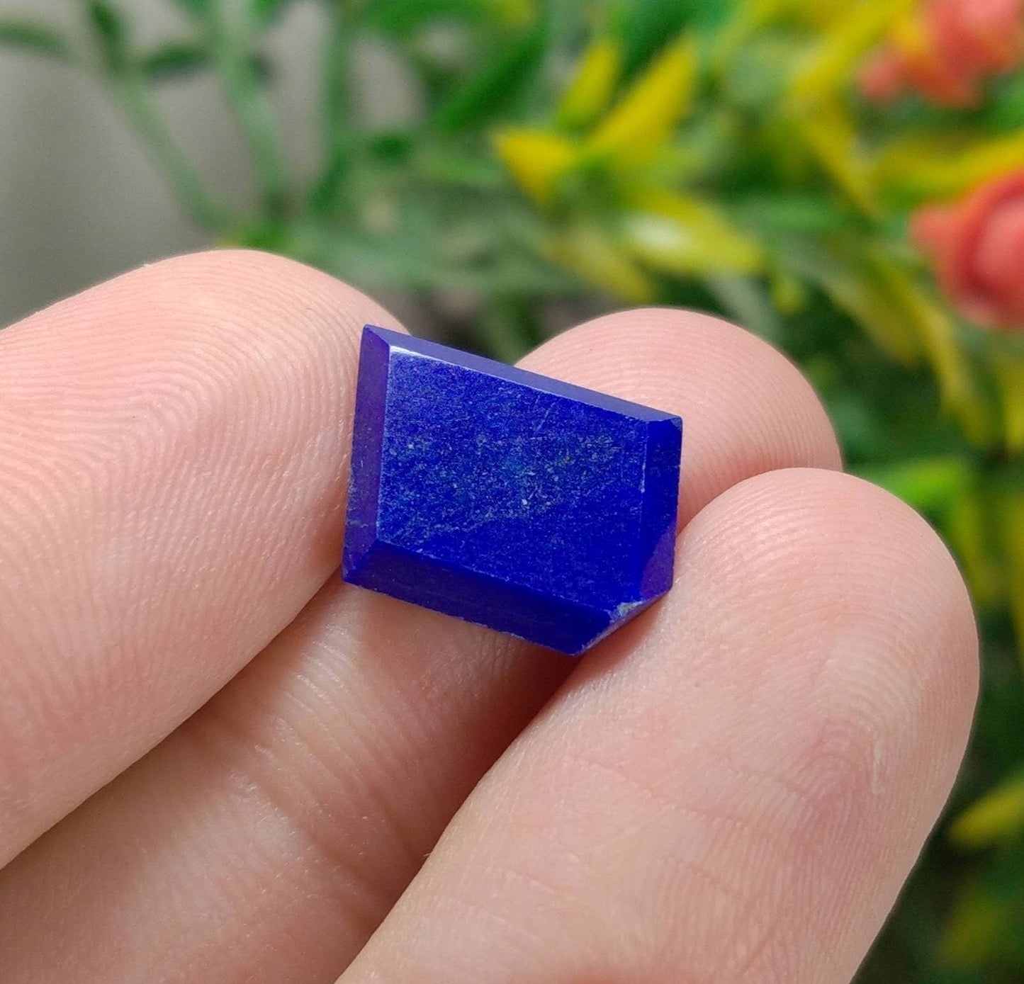 ARSAA GEMS AND MINERALSNatural fine quality beautiful 8 carats pair of lapis lazuli cabochons - Premium  from ARSAA GEMS AND MINERALS - Just $15.00! Shop now at ARSAA GEMS AND MINERALS