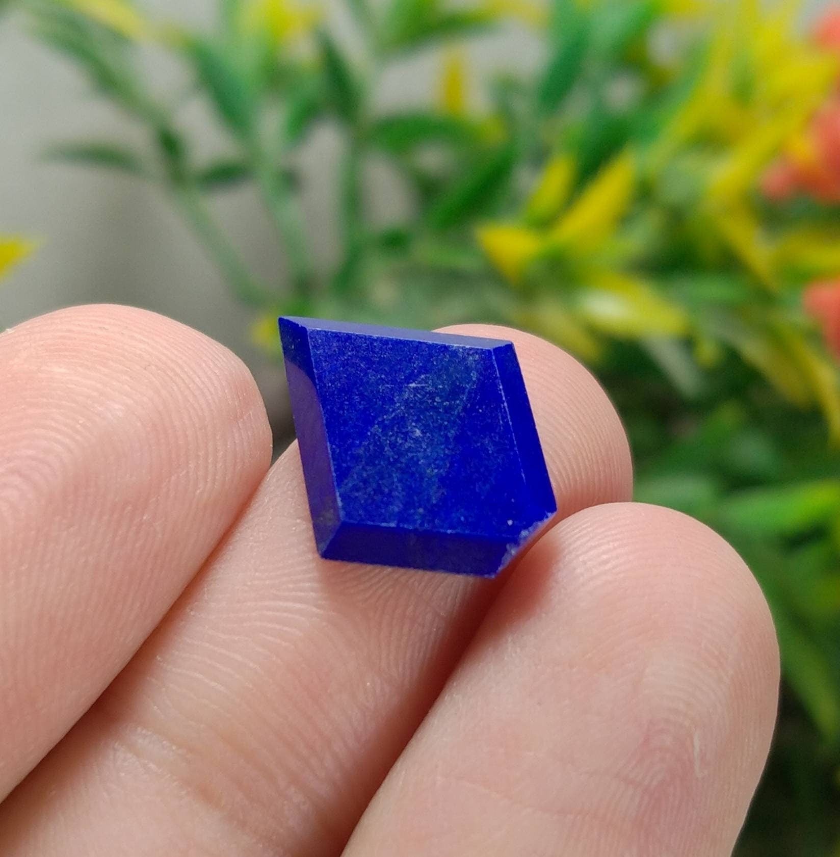 ARSAA GEMS AND MINERALSNatural fine quality beautiful 8 carats pair of lapis lazuli cabochons - Premium  from ARSAA GEMS AND MINERALS - Just $15.00! Shop now at ARSAA GEMS AND MINERALS