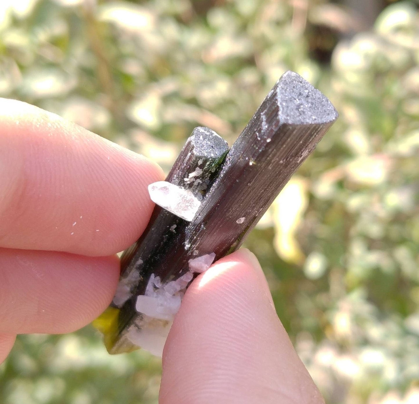 ARSAA GEMS AND MINERALSNatural top quality beautiful 11 grams terminated twins double green cap Tourmaline crystal - Premium  from ARSAA GEMS AND MINERALS - Just $55.00! Shop now at ARSAA GEMS AND MINERALS
