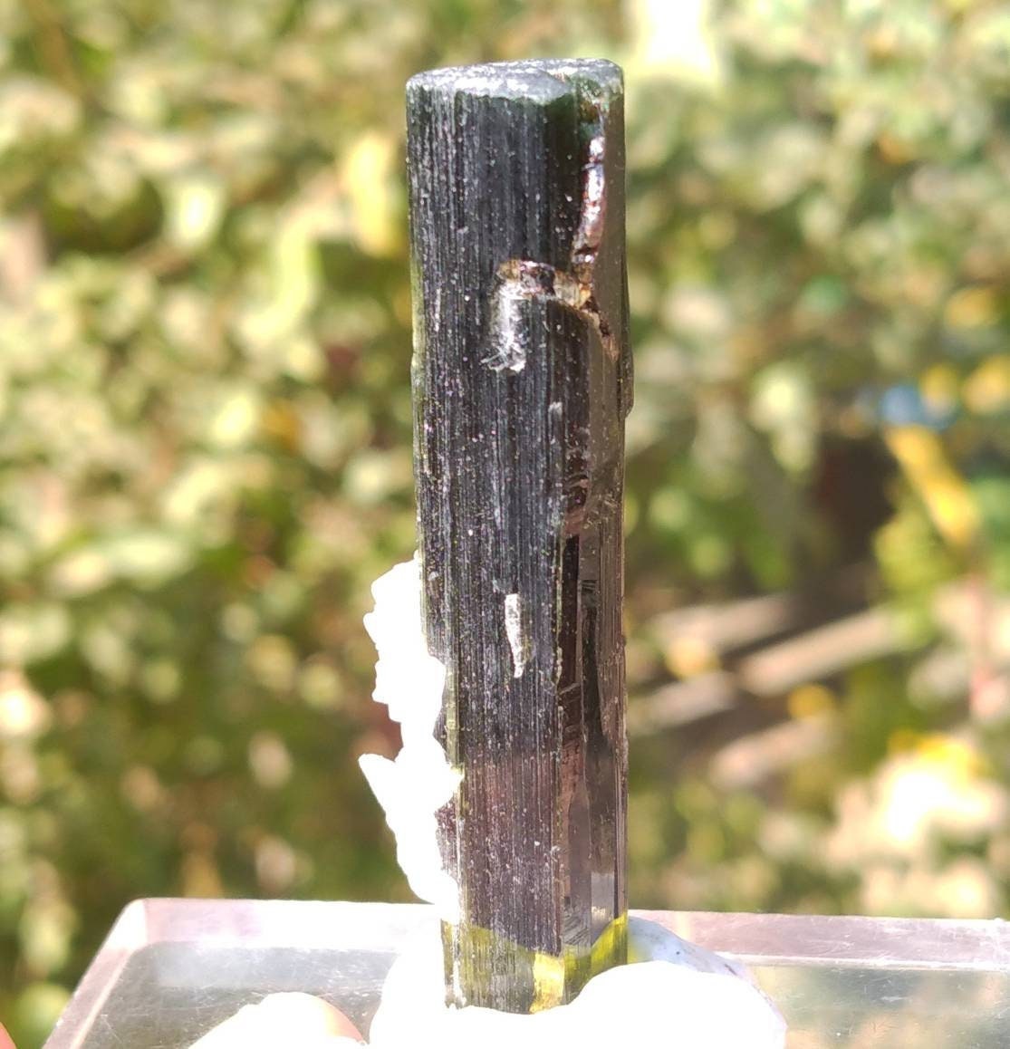 ARSAA GEMS AND MINERALSNatural top quality beautiful 13 grams double terminated double sided green cap Tourmaline crystal - Premium  from ARSAA GEMS AND MINERALS - Just $60.00! Shop now at ARSAA GEMS AND MINERALS