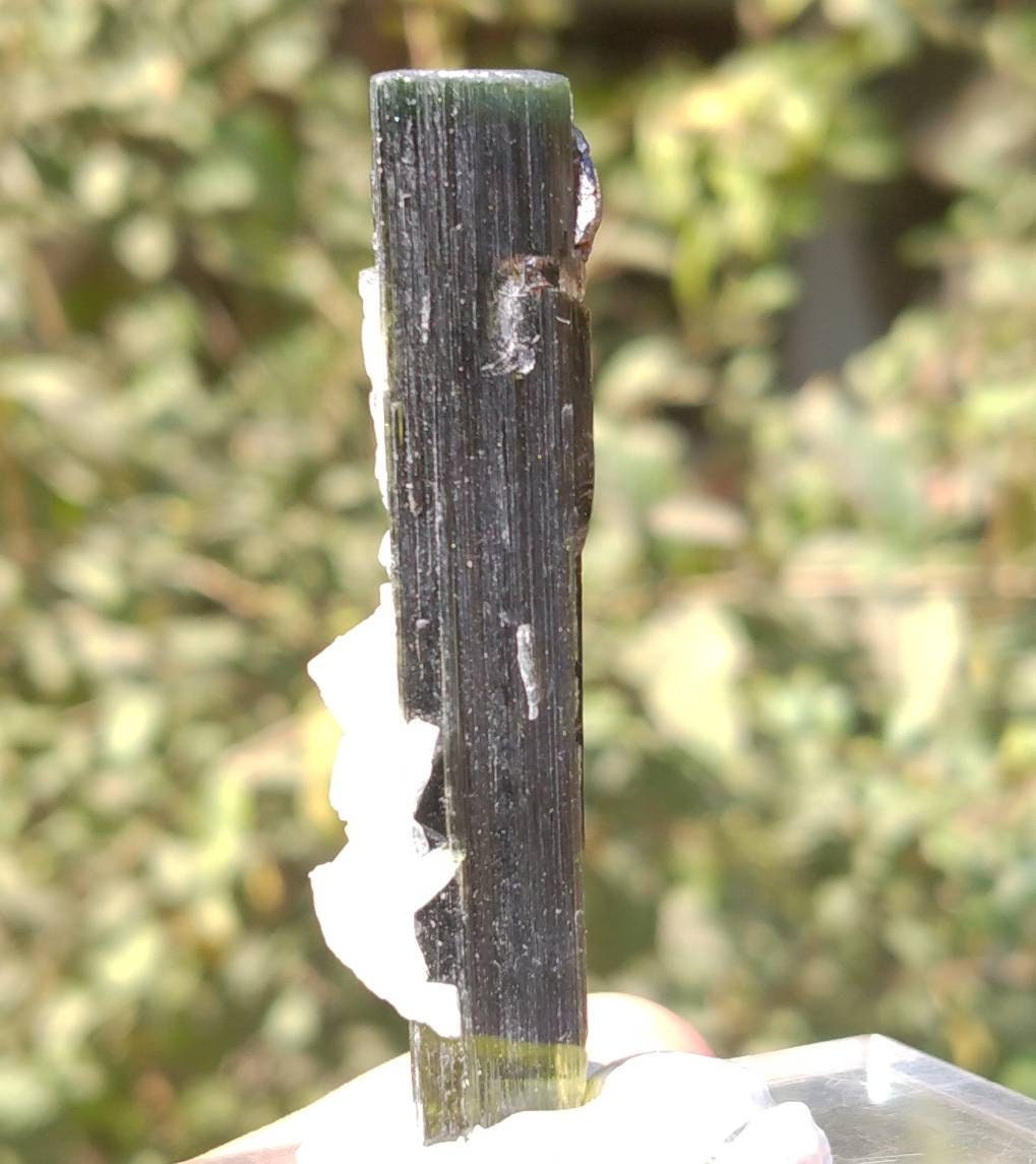 ARSAA GEMS AND MINERALSNatural top quality beautiful 13 grams double terminated double sided green cap Tourmaline crystal - Premium  from ARSAA GEMS AND MINERALS - Just $60.00! Shop now at ARSAA GEMS AND MINERALS