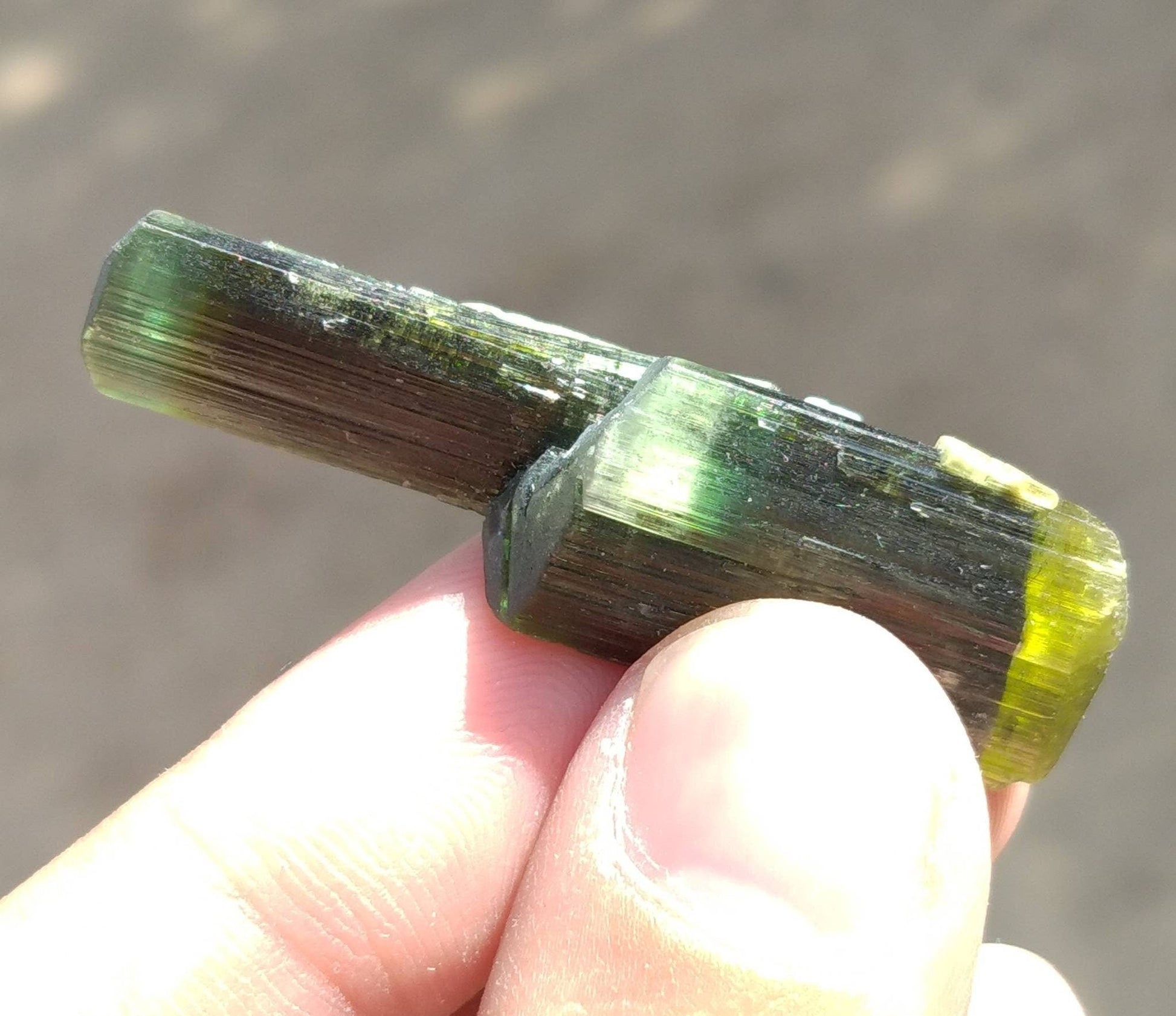 ARSAA GEMS AND MINERALSNatural top quality beautiful 14 grams double terminated double sided green cap Tourmaline crystal - Premium  from ARSAA GEMS AND MINERALS - Just $70.00! Shop now at ARSAA GEMS AND MINERALS