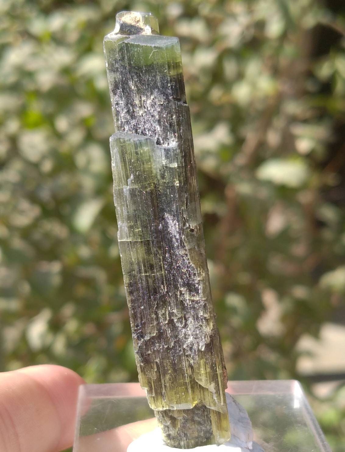 ARSAA GEMS AND MINERALSNatural top quality beautiful 16.7 grams double terminated double sided green cap Tourmaline crystal - Premium  from ARSAA GEMS AND MINERALS - Just $75.00! Shop now at ARSAA GEMS AND MINERALS