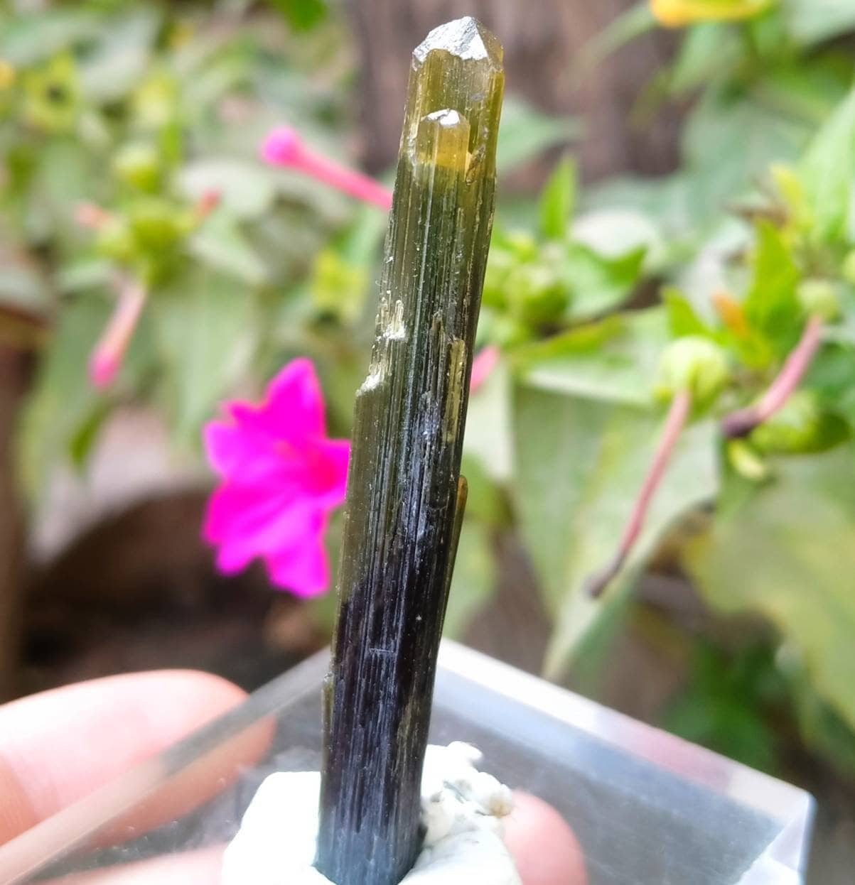 ARSAA GEMS AND MINERALSNatural top quality beautiful 6.6 grams double terminated double sided green cap Tourmaline crystal - Premium  from ARSAA GEMS AND MINERALS - Just $35.00! Shop now at ARSAA GEMS AND MINERALS