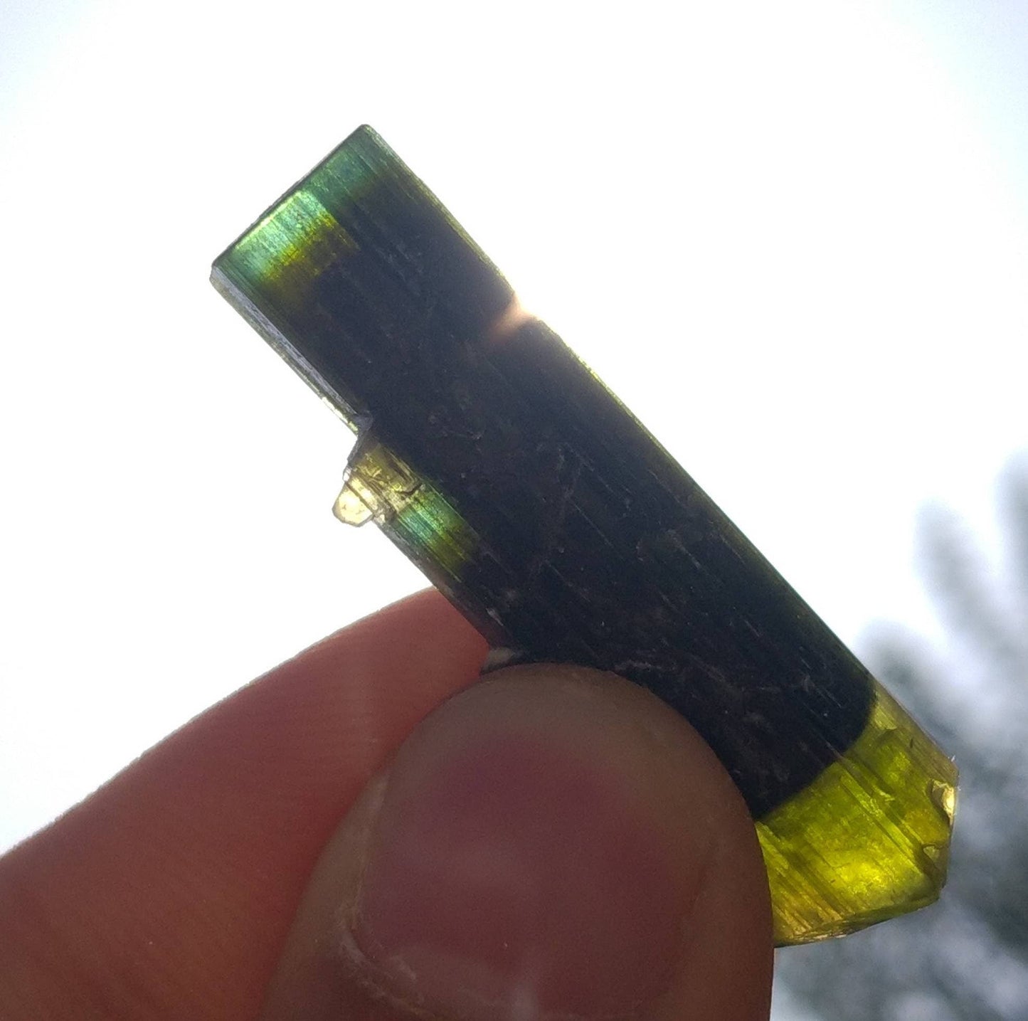 ARSAA GEMS AND MINERALSNatural top quality beautiful 8 grams double terminated double sided green cap Tourmaline crystal - Premium  from ARSAA GEMS AND MINERALS - Just $40.00! Shop now at ARSAA GEMS AND MINERALS