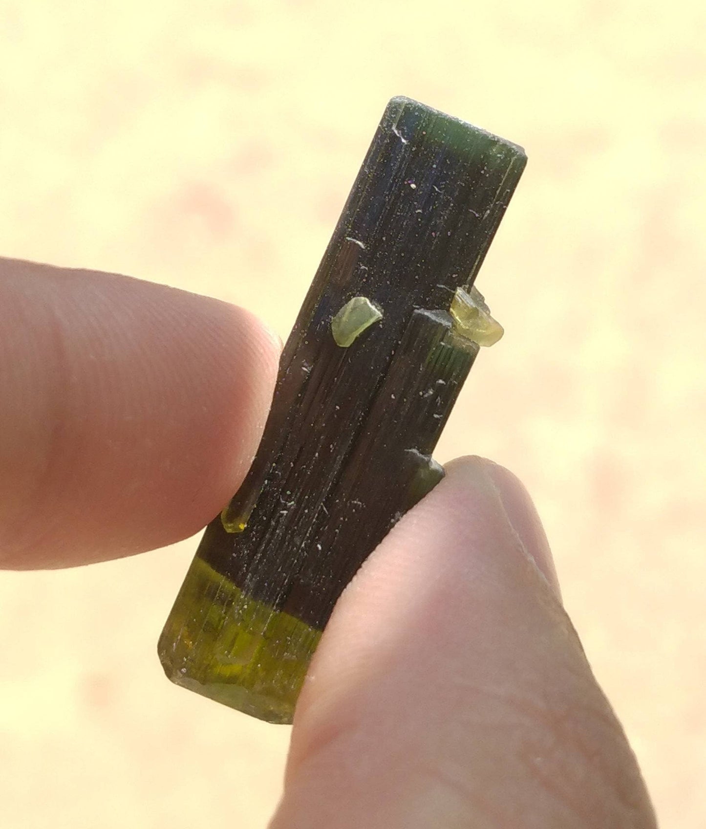 ARSAA GEMS AND MINERALSNatural top quality beautiful 8 grams double terminated double sided green cap Tourmaline crystal - Premium  from ARSAA GEMS AND MINERALS - Just $40.00! Shop now at ARSAA GEMS AND MINERALS
