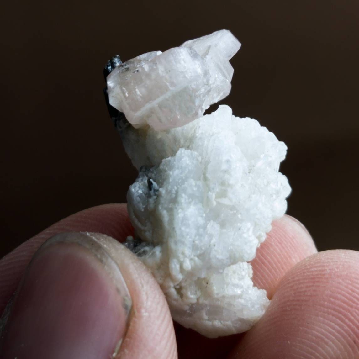 ARSAA GEMS AND MINERALSLight pink apatite on matrix on albite with black tourmaline inclusion crystal - Premium  from ARSAA GEMS AND MINERALS - Just $30.00! Shop now at ARSAA GEMS AND MINERALS