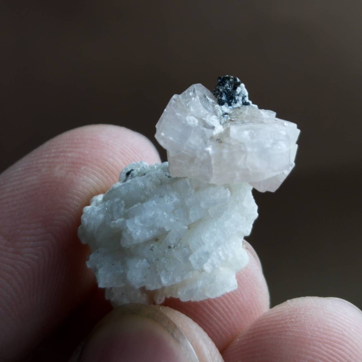 ARSAA GEMS AND MINERALSLight pink apatite on matrix on albite with black tourmaline inclusion crystal - Premium  from ARSAA GEMS AND MINERALS - Just $30.00! Shop now at ARSAA GEMS AND MINERALS