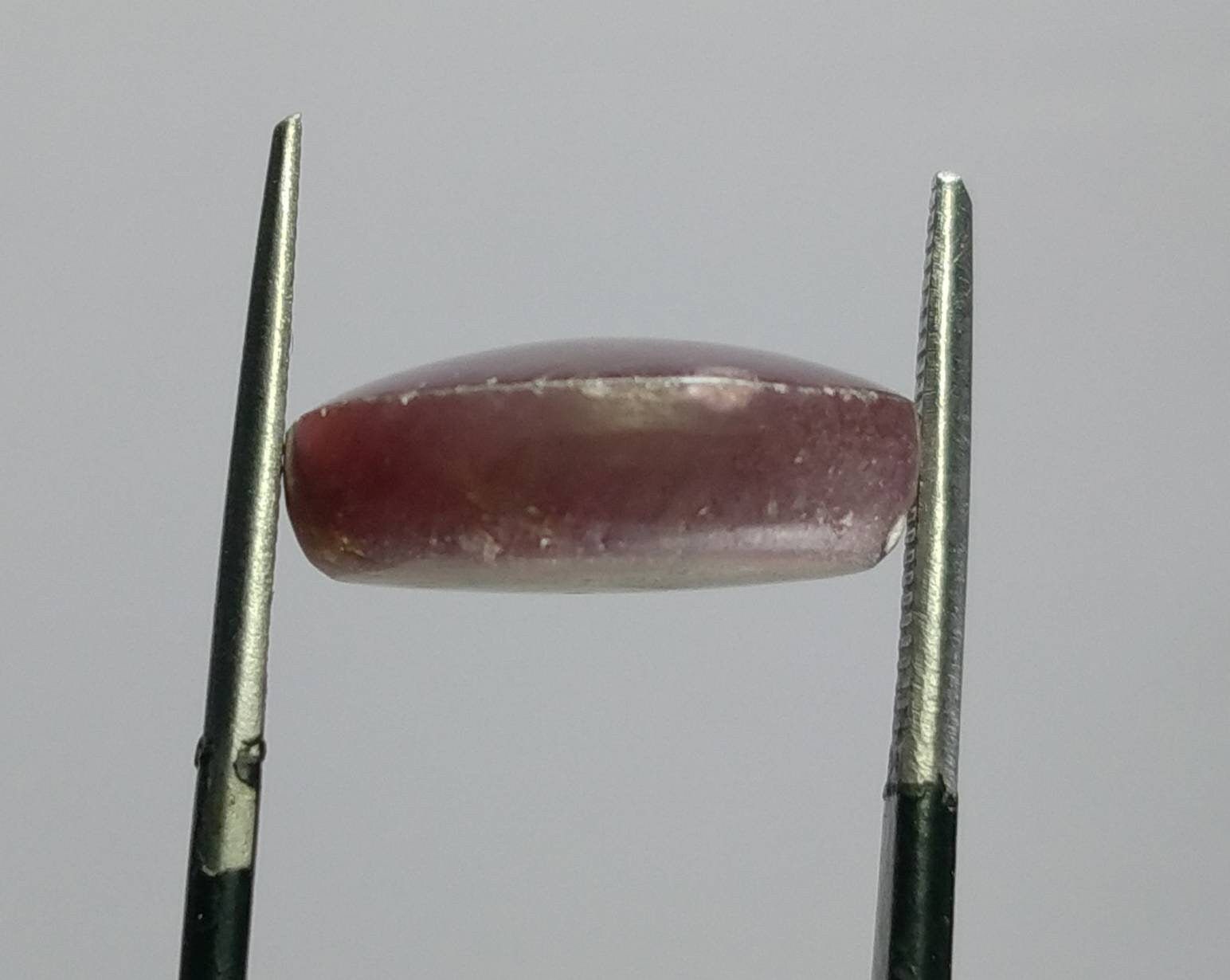 ARSAA GEMS AND MINERALSNatural aesthetic Beautiful 12.5 carats fine quality star ruby cabochon - Premium  from ARSAA GEMS AND MINERALS - Just $24.00! Shop now at ARSAA GEMS AND MINERALS