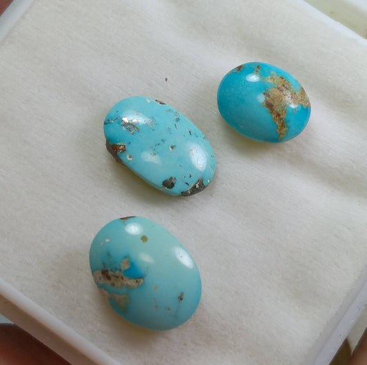 ARSAA GEMS AND MINERALSNatural top quality beautiful 17.5 carat untreated unheated small lot of turquoise Cabochons - Premium  from ARSAA GEMS AND MINERALS - Just $35.00! Shop now at ARSAA GEMS AND MINERALS