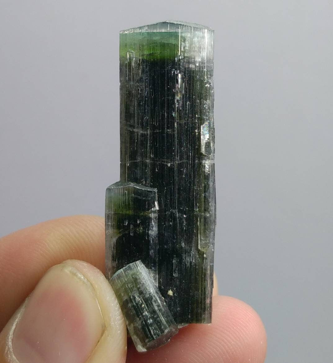 ARSAA GEMS AND MINERALSNatural top quality beautiful 15 grams double terminated green cap Tourmaline crystal - Premium  from ARSAA GEMS AND MINERALS - Just $80.00! Shop now at ARSAA GEMS AND MINERALS