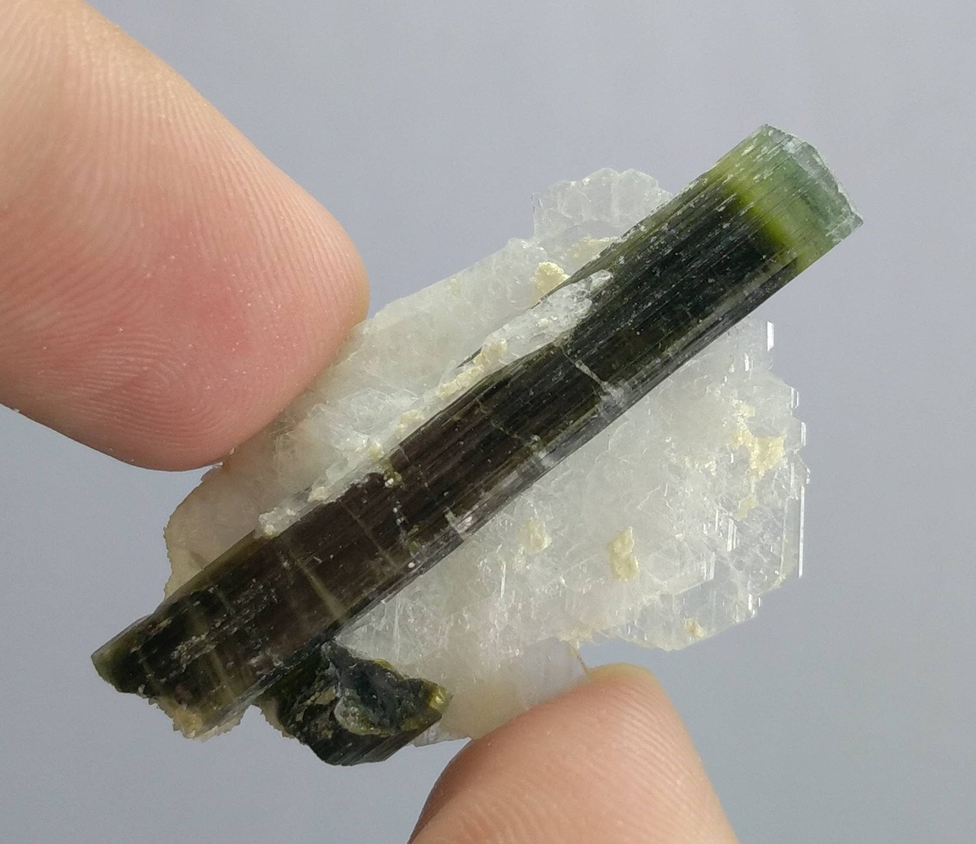 ARSAA GEMS AND MINERALSNatural top quality beautiful 6.7 grams double terminated green cap Tourmaline crystal - Premium  from ARSAA GEMS AND MINERALS - Just $50.00! Shop now at ARSAA GEMS AND MINERALS