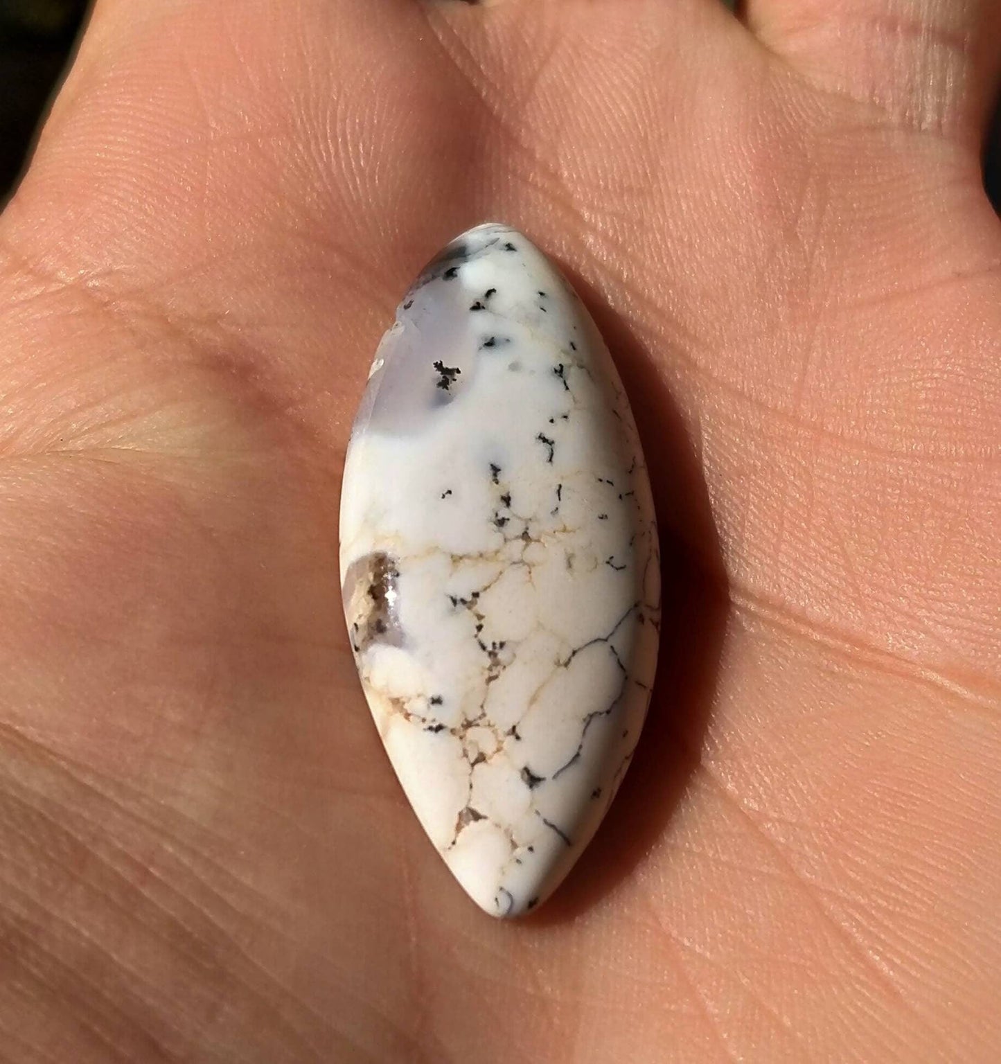 ARSAA GEMS AND MINERALSNatural top quality beautiful cabochon of dendritic opal - Premium  from ARSAA GEMS AND MINERALS - Just $12.00! Shop now at ARSAA GEMS AND MINERALS