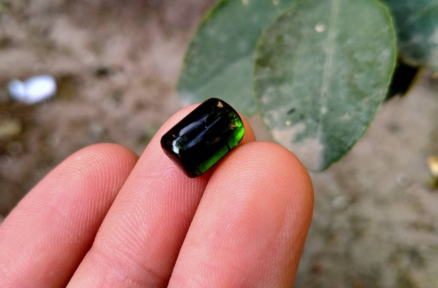 ARSAA GEMS AND MINERALSNatural top quality beautiful cabochons of multicolore tourmaline - Premium  from ARSAA GEMS AND MINERALS - Just $55.00! Shop now at ARSAA GEMS AND MINERALS