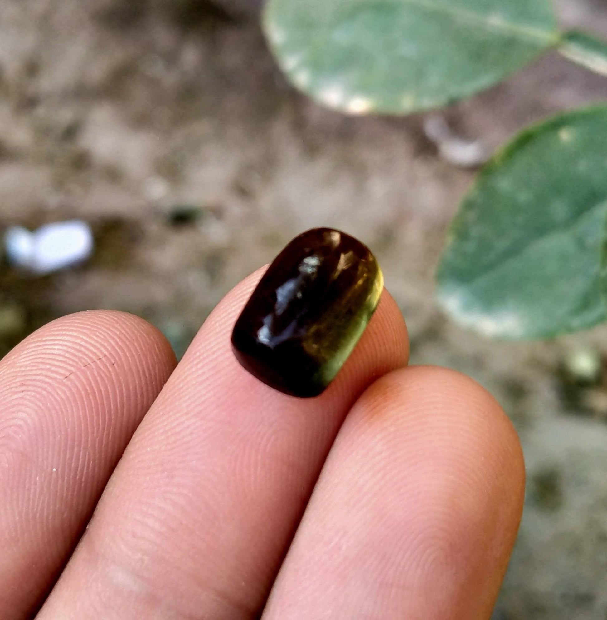 ARSAA GEMS AND MINERALSNatural top quality beautiful cabochons of multicolore tourmaline - Premium  from ARSAA GEMS AND MINERALS - Just $55.00! Shop now at ARSAA GEMS AND MINERALS