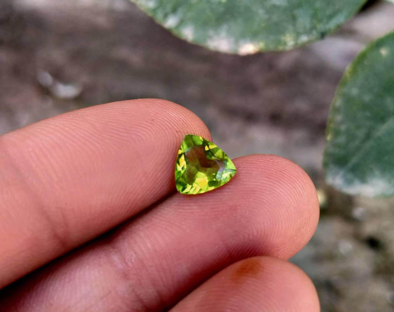 ARSAA GEMS AND MINERALSNatural top quality faceted beautiful trillion shape calibrated green peridot gems - Premium  from ARSAA GEMS AND MINERALS - Just $160.00! Shop now at ARSAA GEMS AND MINERALS