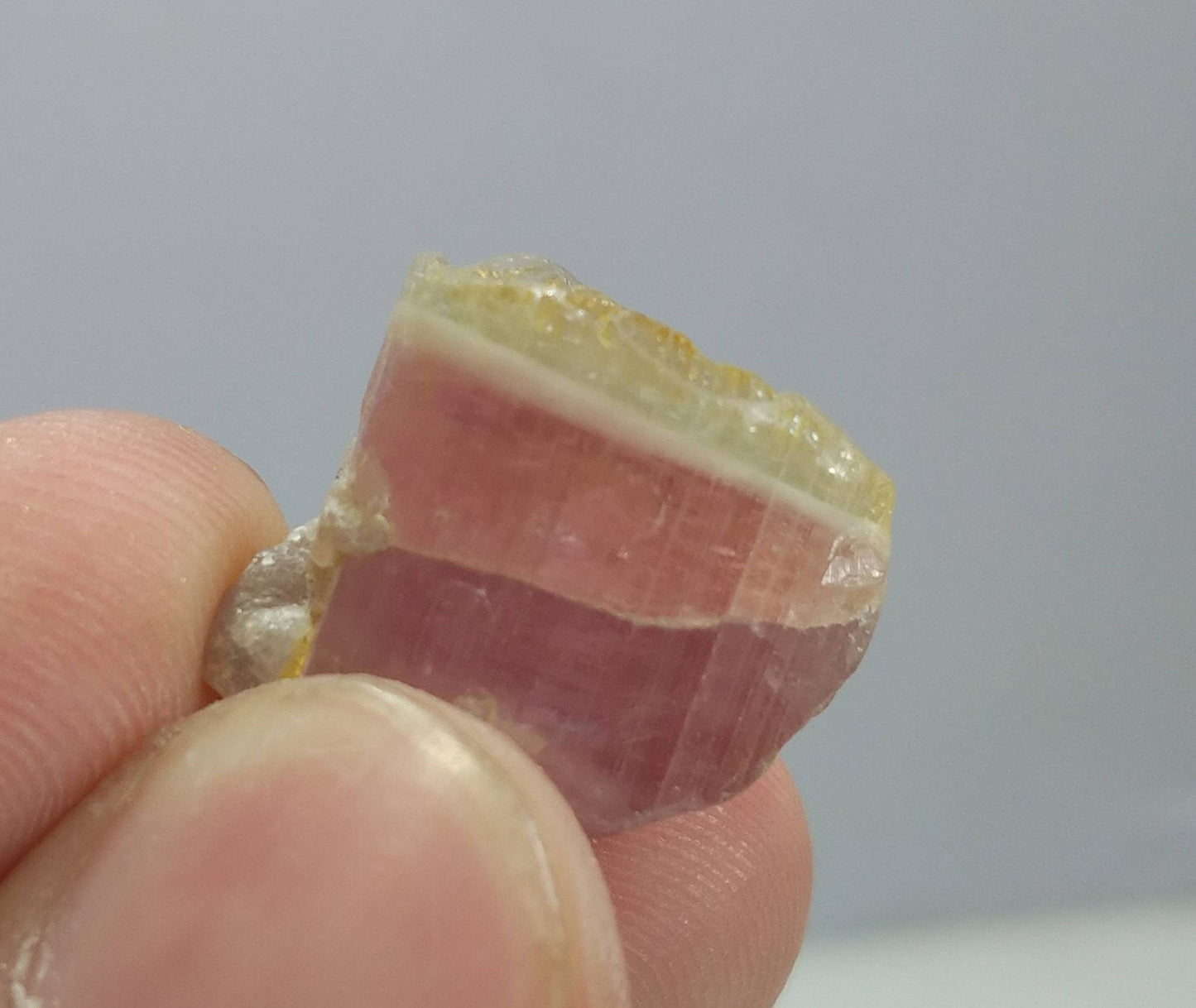 ARSAA GEMS AND MINERALSNatural top quality beautiful 7.8 grams terminated bicolor Tourmaline crystal - Premium  from ARSAA GEMS AND MINERALS - Just $60.00! Shop now at ARSAA GEMS AND MINERALS