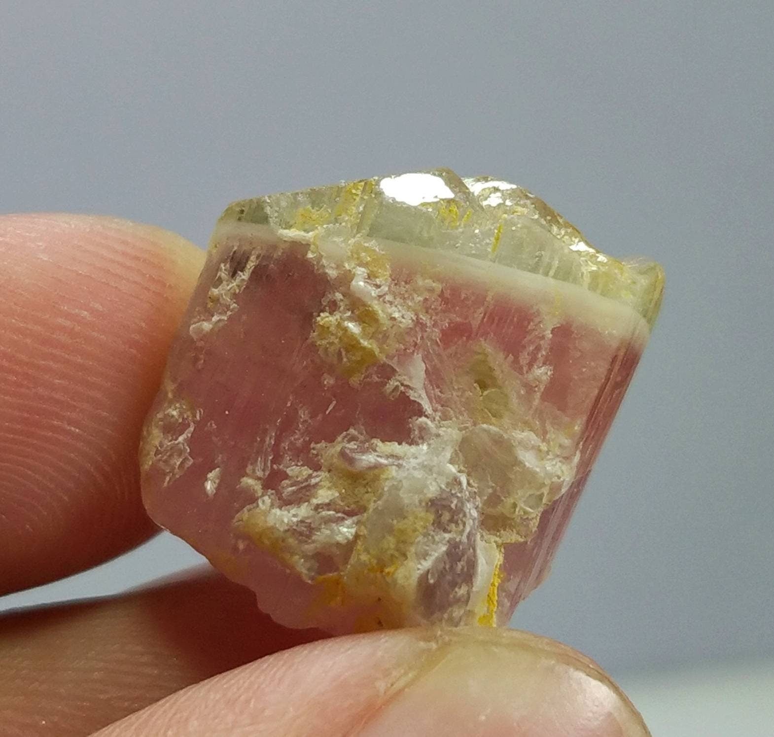 ARSAA GEMS AND MINERALSNatural top quality beautiful 7.8 grams terminated bicolor Tourmaline crystal - Premium  from ARSAA GEMS AND MINERALS - Just $60.00! Shop now at ARSAA GEMS AND MINERALS