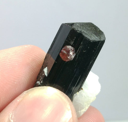 ARSAA GEMS AND MINERALSTop Quality beautiful natural 10.5 grams amazing terminated crystal of black tourmaline with spessartine garnet and albite - Premium  from ARSAA GEMS AND MINERALS - Just $45.00! Shop now at ARSAA GEMS AND MINERALS
