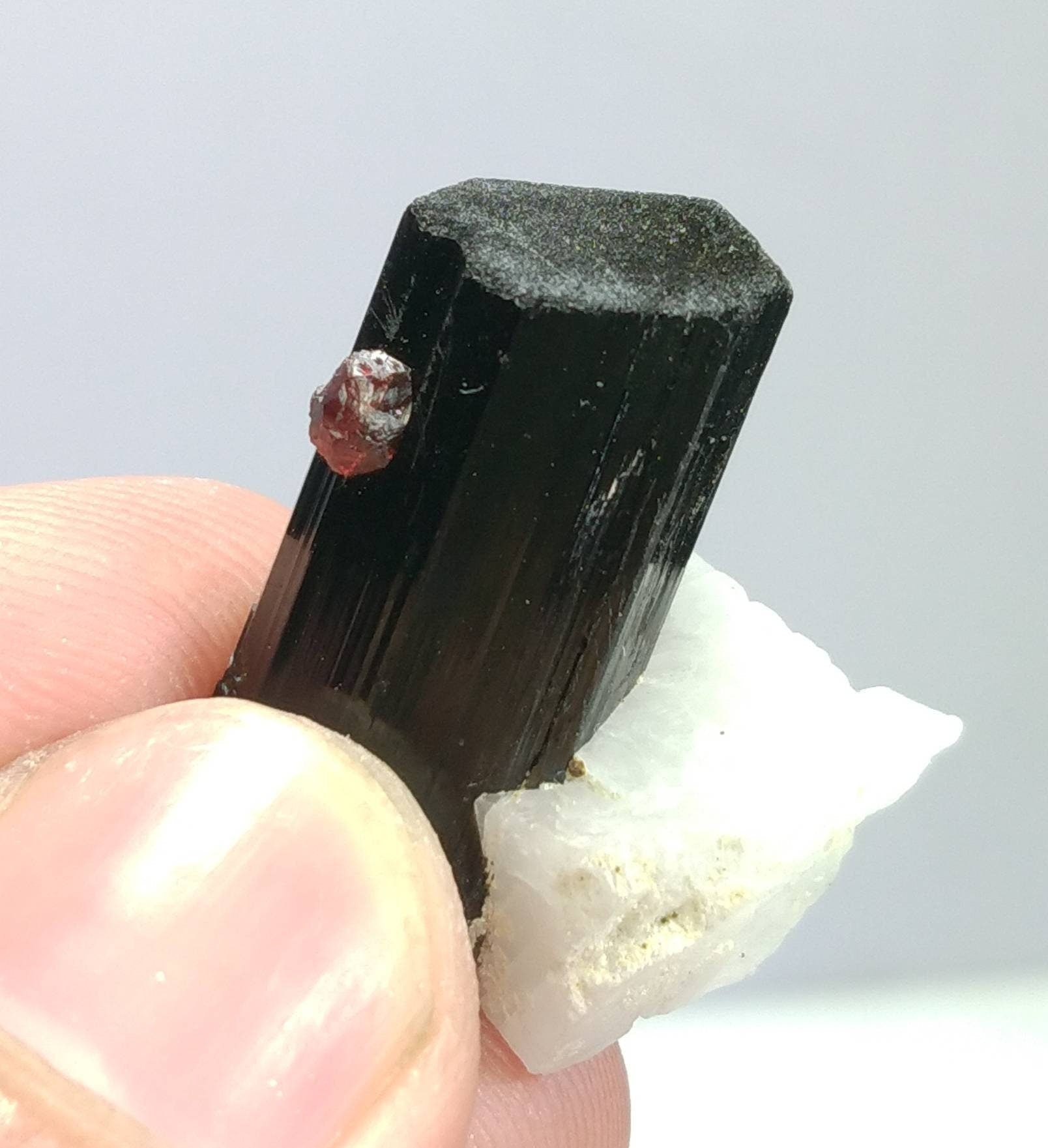 ARSAA GEMS AND MINERALSTop Quality beautiful natural 10.5 grams amazing terminated crystal of black tourmaline with spessartine garnet and albite - Premium  from ARSAA GEMS AND MINERALS - Just $45.00! Shop now at ARSAA GEMS AND MINERALS