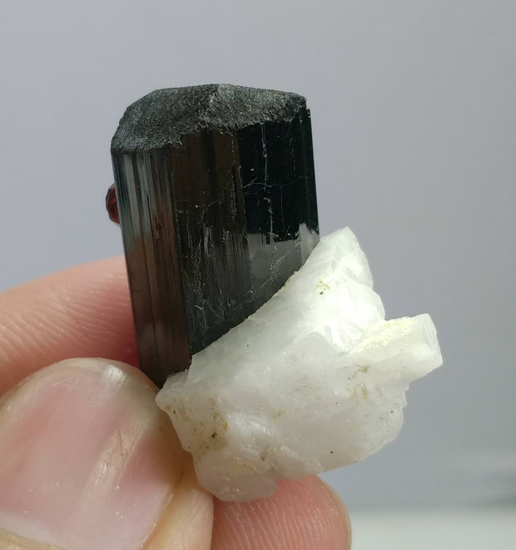 ARSAA GEMS AND MINERALSTop Quality beautiful natural 10.5 grams amazing terminated crystal of black tourmaline with spessartine garnet and albite - Premium  from ARSAA GEMS AND MINERALS - Just $45.00! Shop now at ARSAA GEMS AND MINERALS