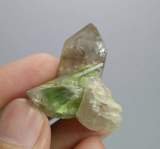 ARSAA GEMS AND MINERALSTop Quality beautiful natural 13.7 grams smokey quartz with bicolor tourmaline crystal - Premium  from ARSAA GEMS AND MINERALS - Just $60.00! Shop now at ARSAA GEMS AND MINERALS